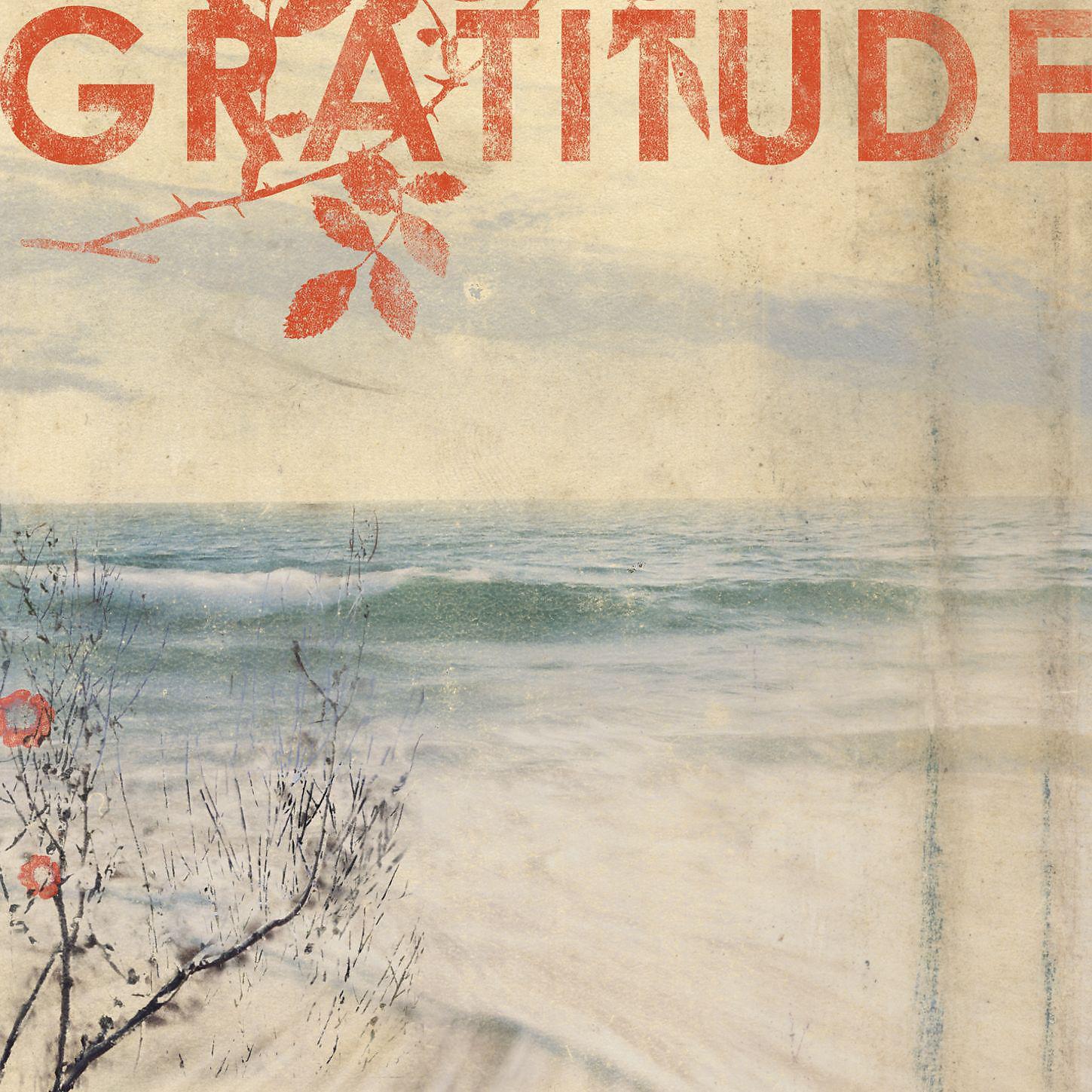 Постер альбома Gratitude (U.S. Version)