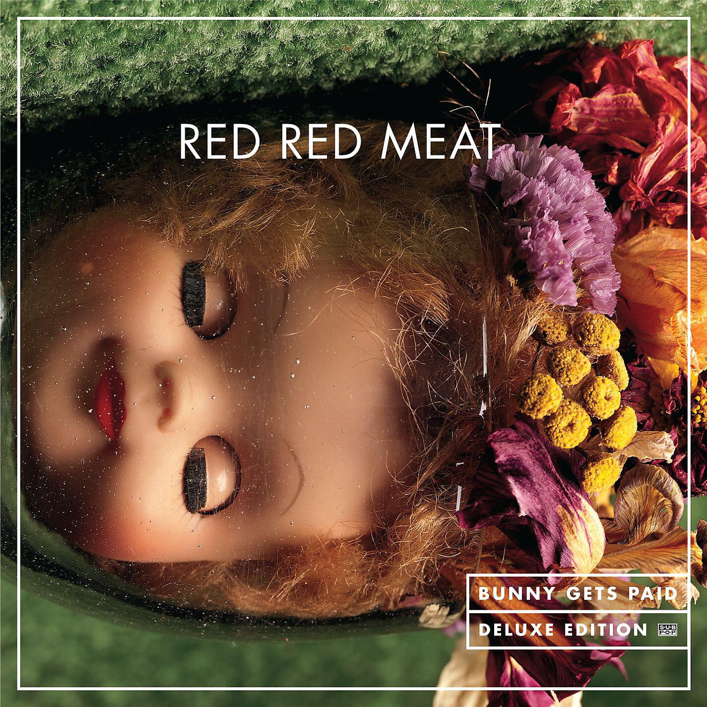 Red Red Meat - Mousish (Dub mix) (Album)