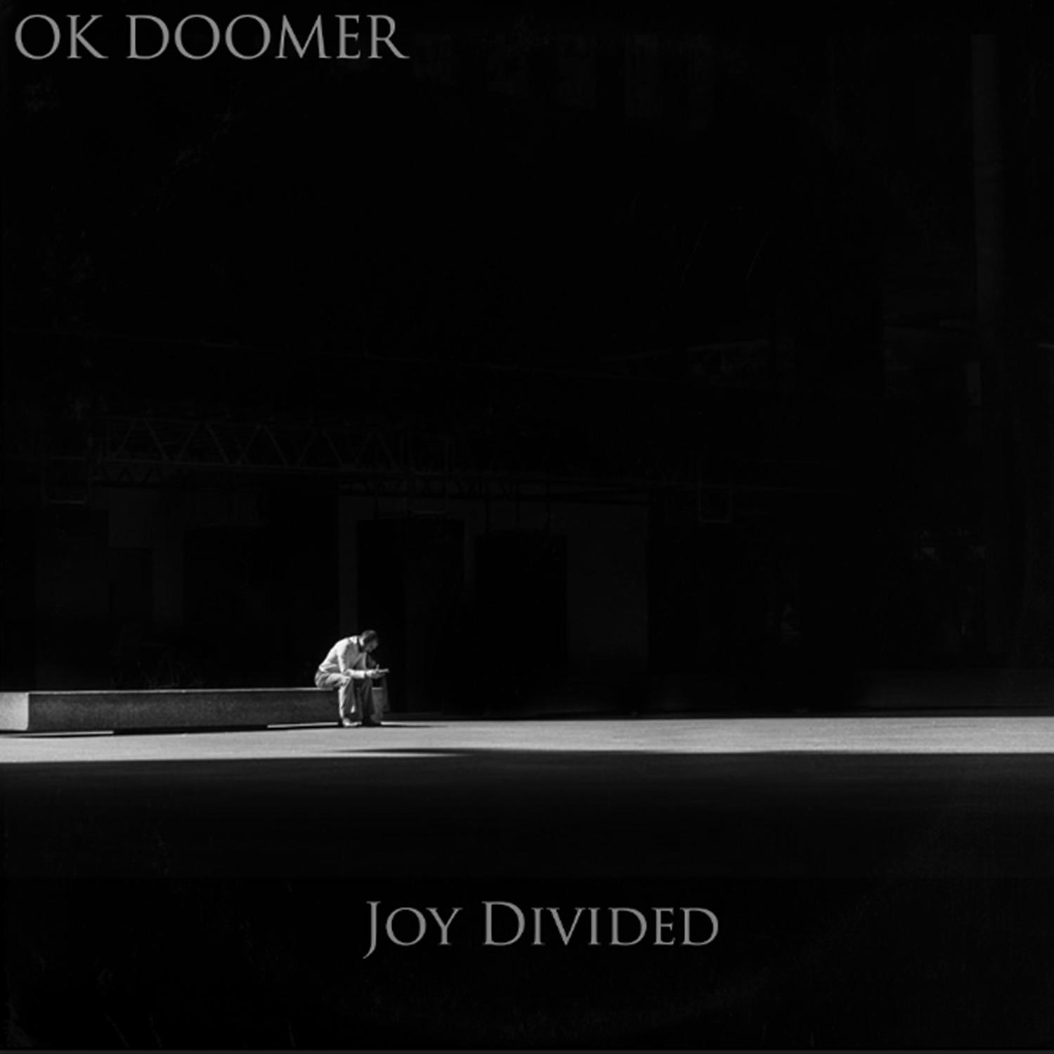 Постер альбома Joy Divided
