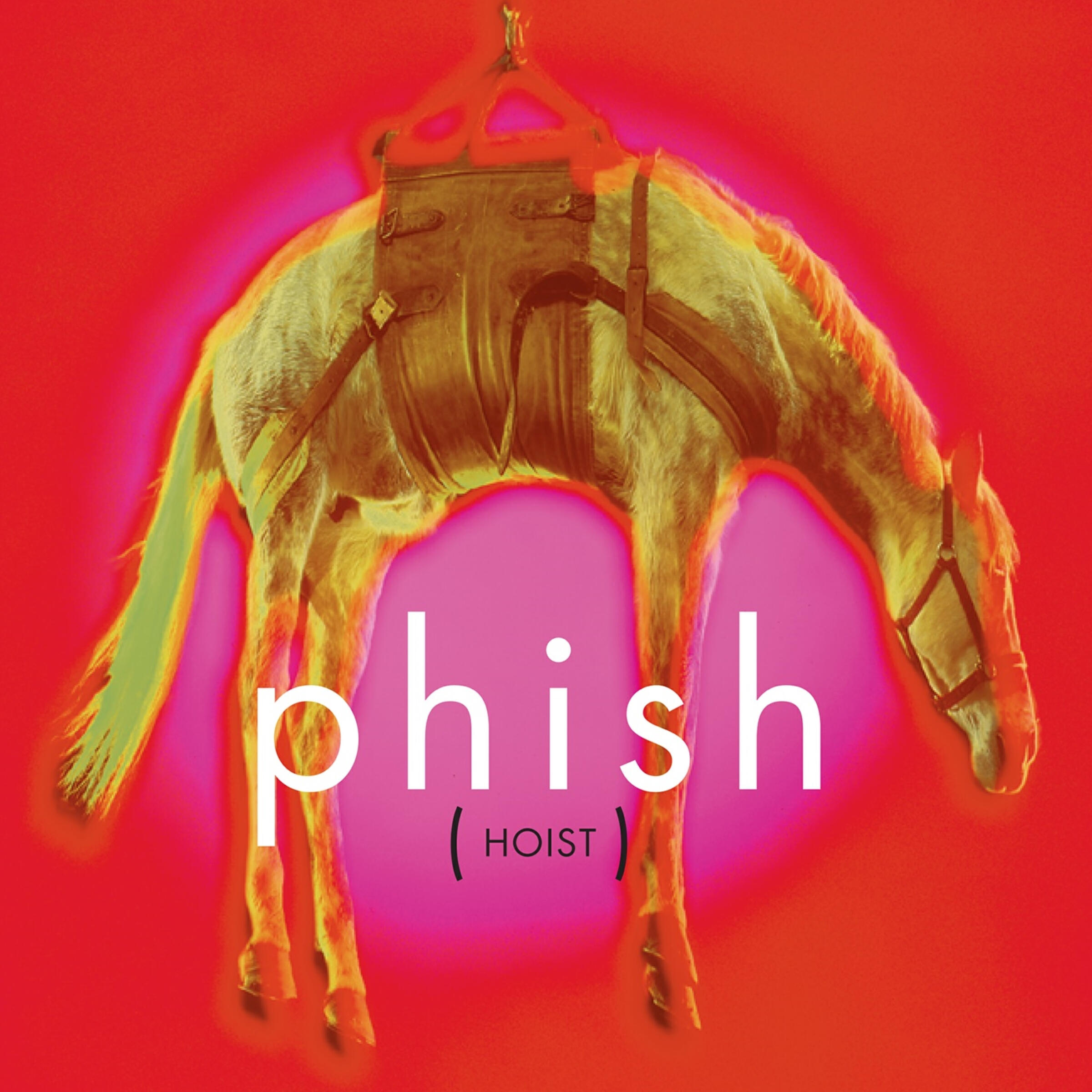 Phish - If I Could
