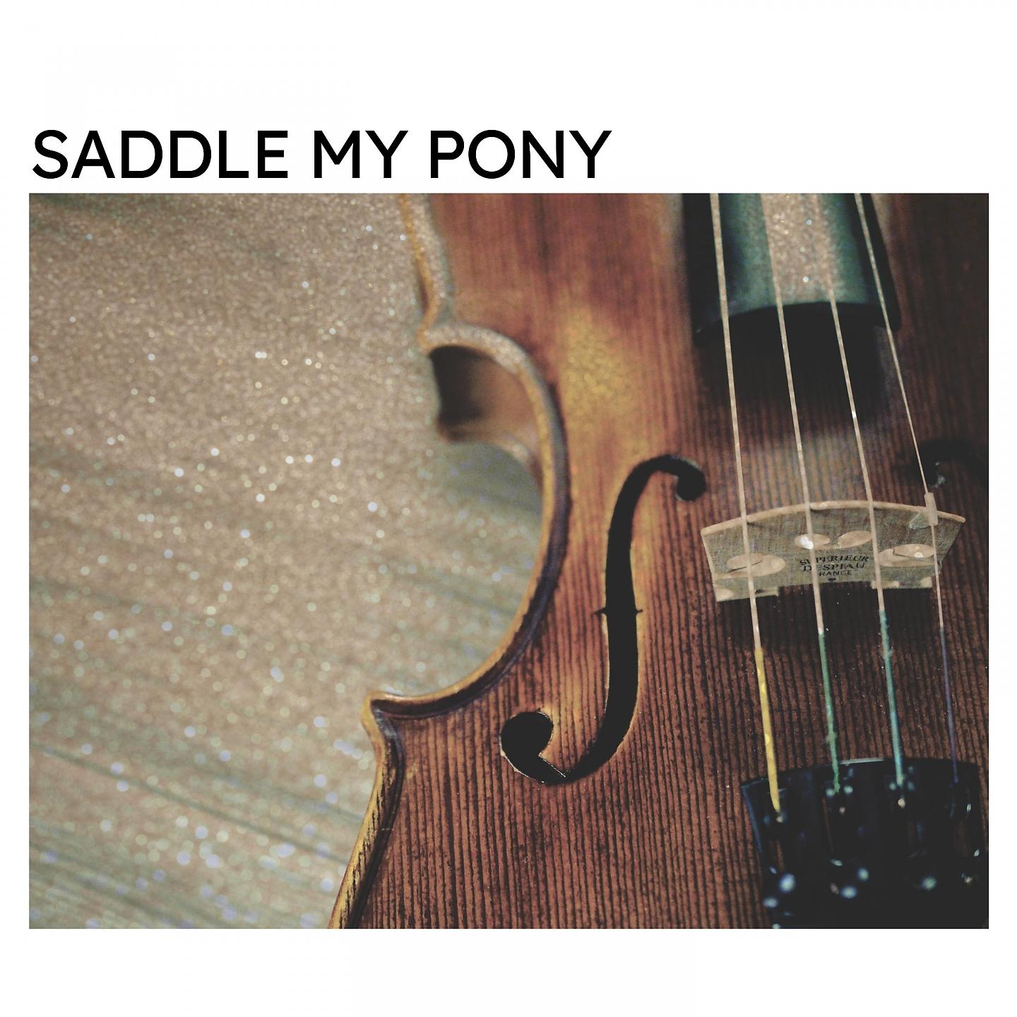 Постер альбома Saddle My Pony