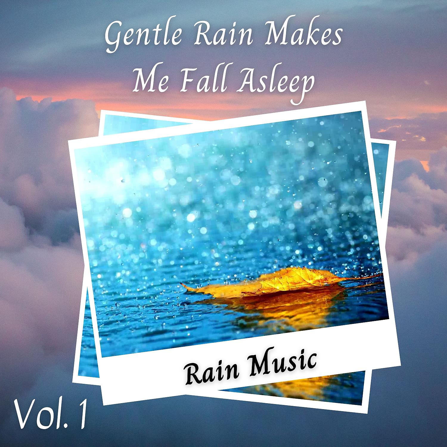 Постер альбома Rain Music: Gentle Rain Makes Me Fall Asleep Vol. 1