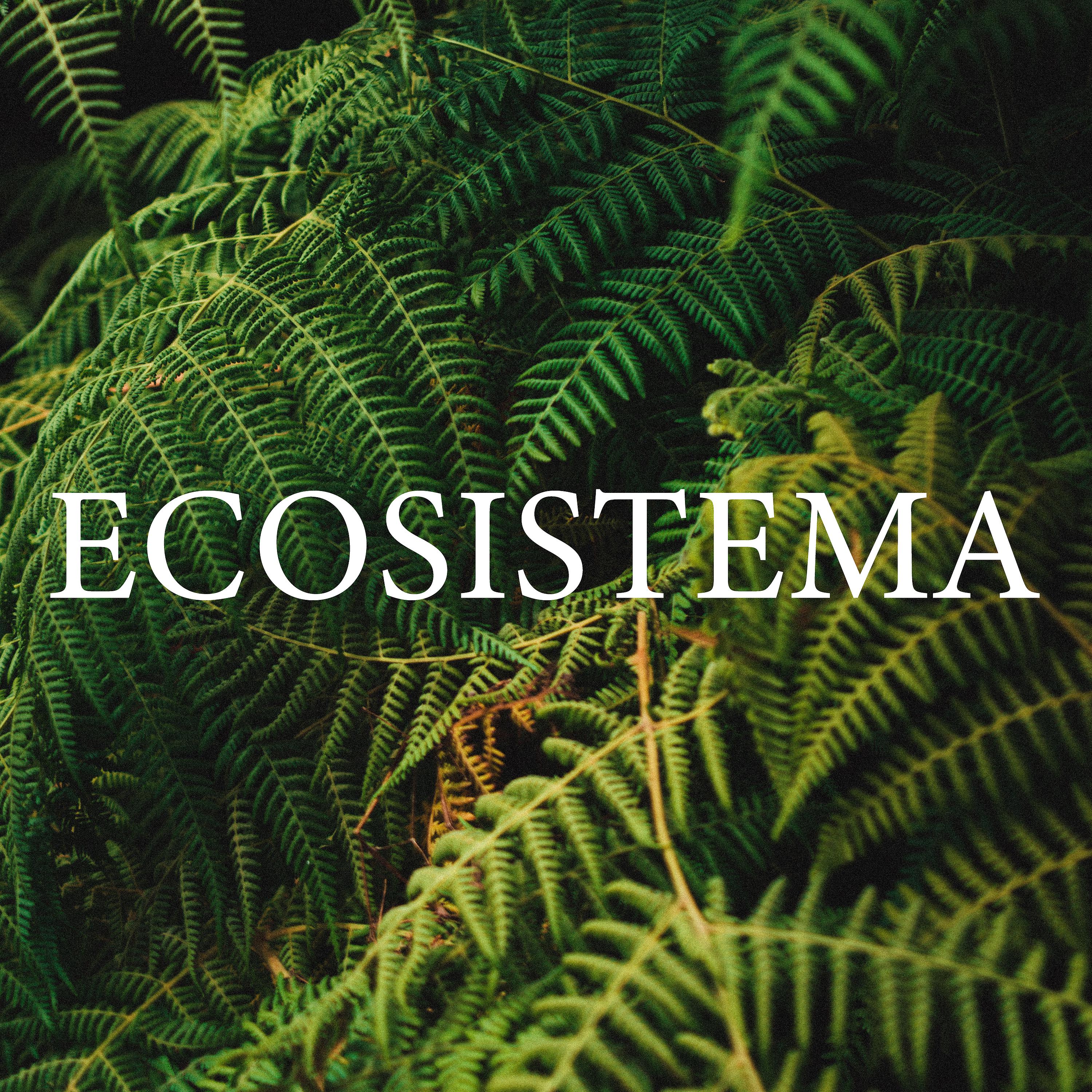 Постер альбома Ecosistema