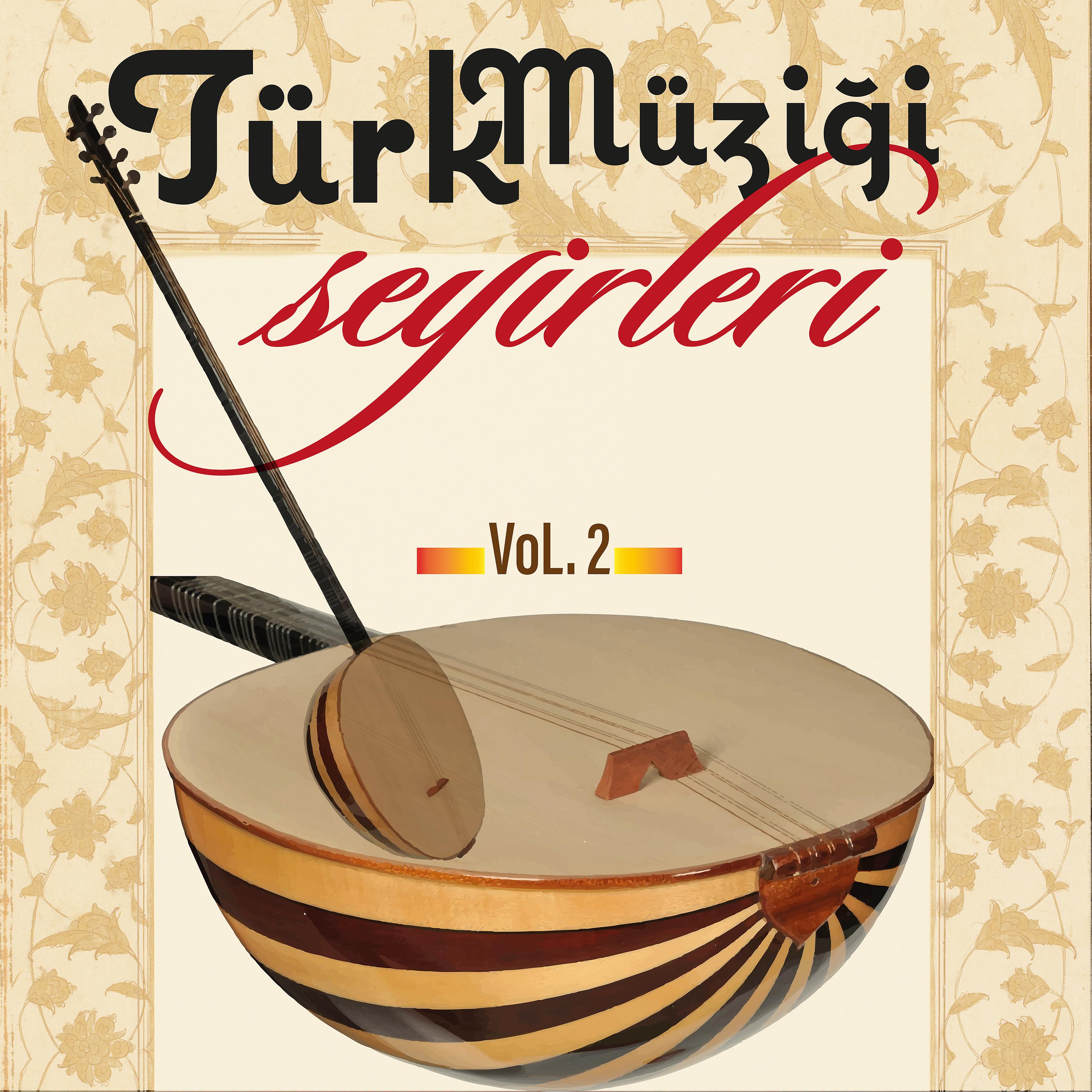 Постер альбома Türk Müziği Seyirleri, Vol. 2