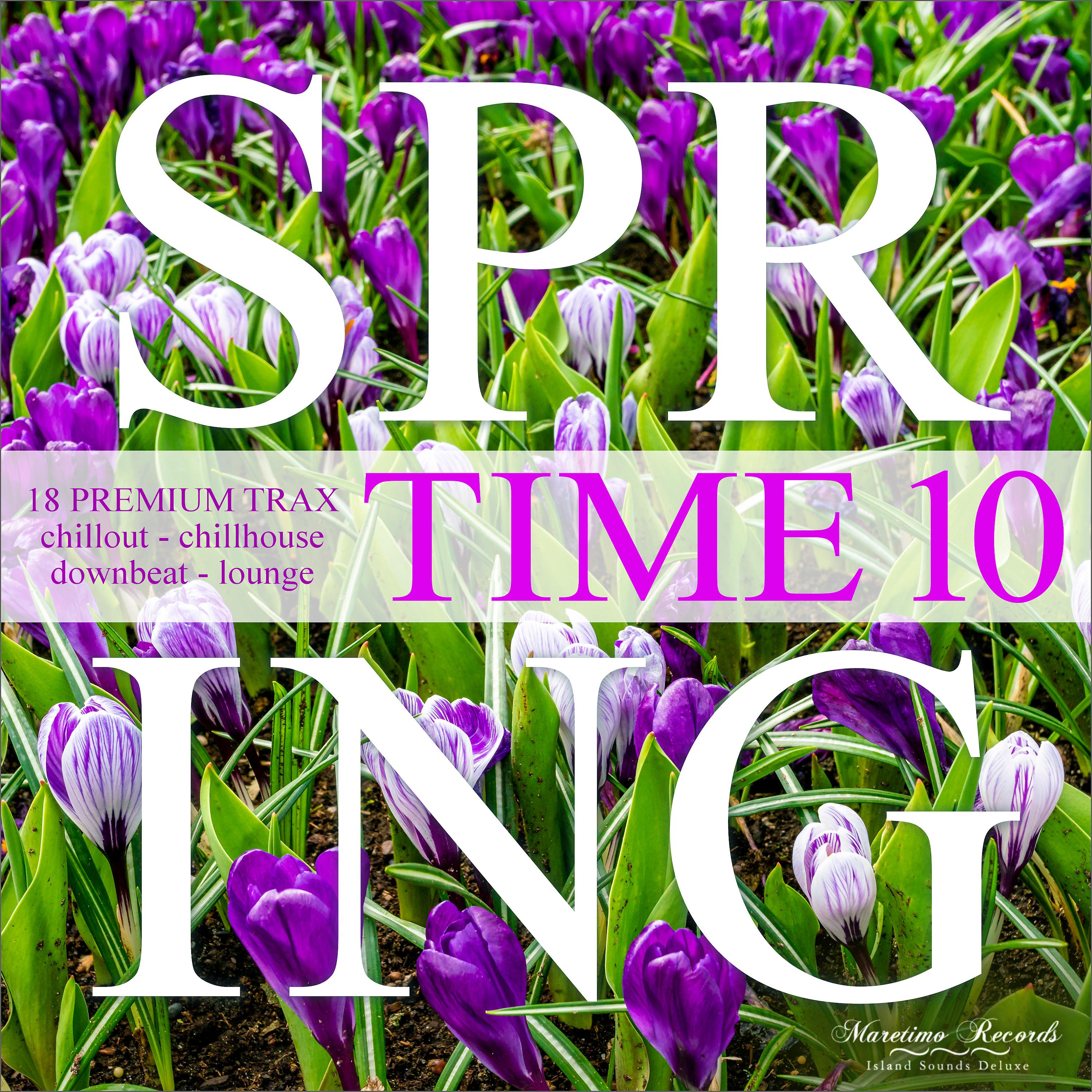 Постер альбома Spring Time, Vol. 10 - 18 Premium Trax: Chillout, Chillhouse, Downbeat, Lounge