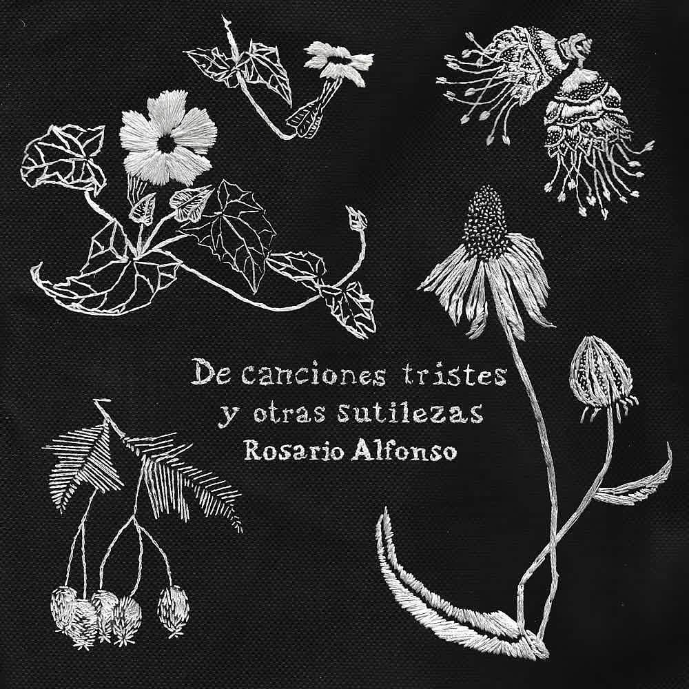 Постер альбома De Canciones Tristes y Otras Sutilezas