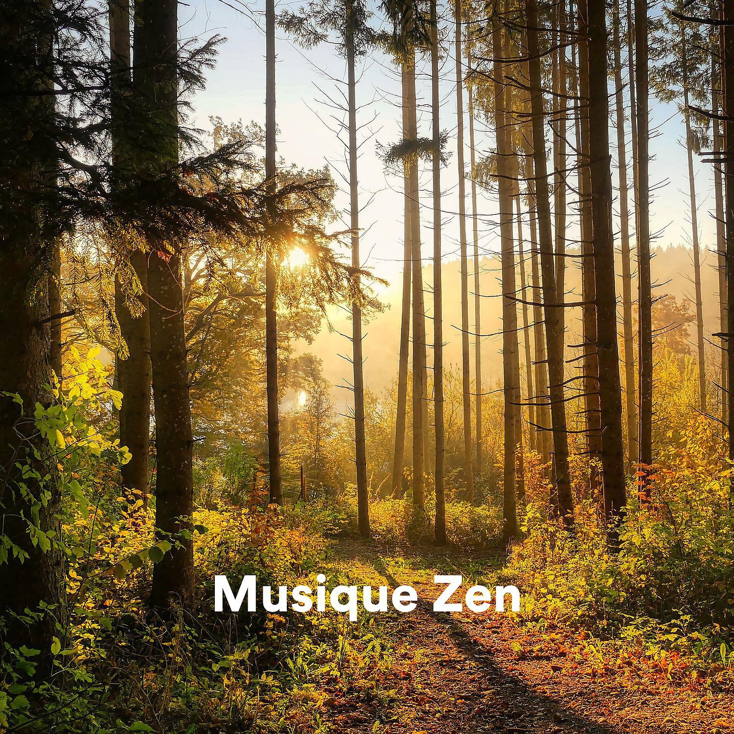 Постер альбома Musique zen