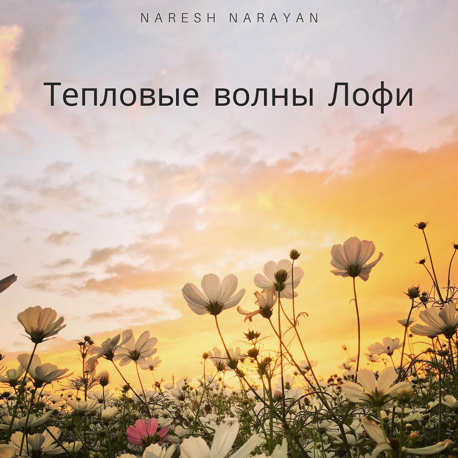 Naresh Narayan - Тепловые волны Лофи