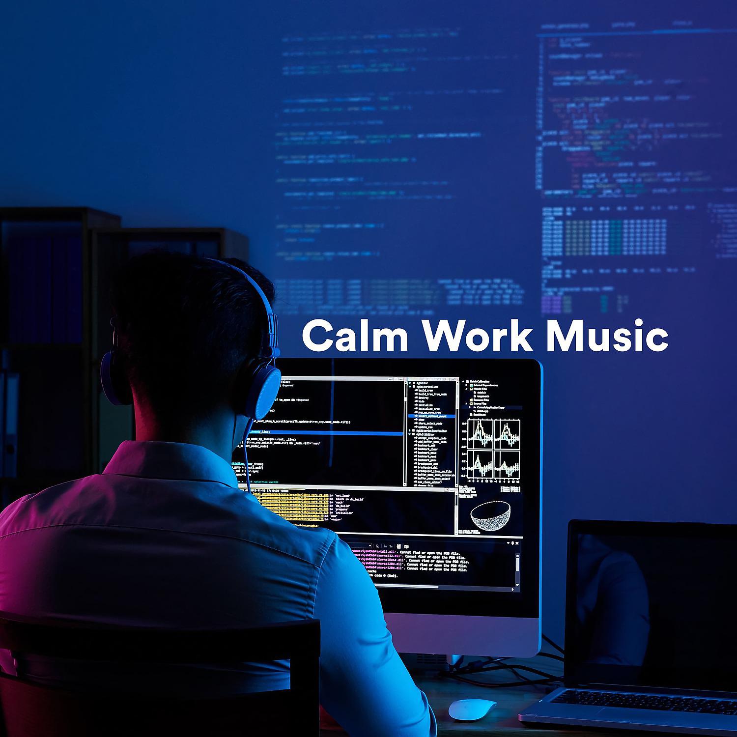 Постер альбома Calm Work Music
