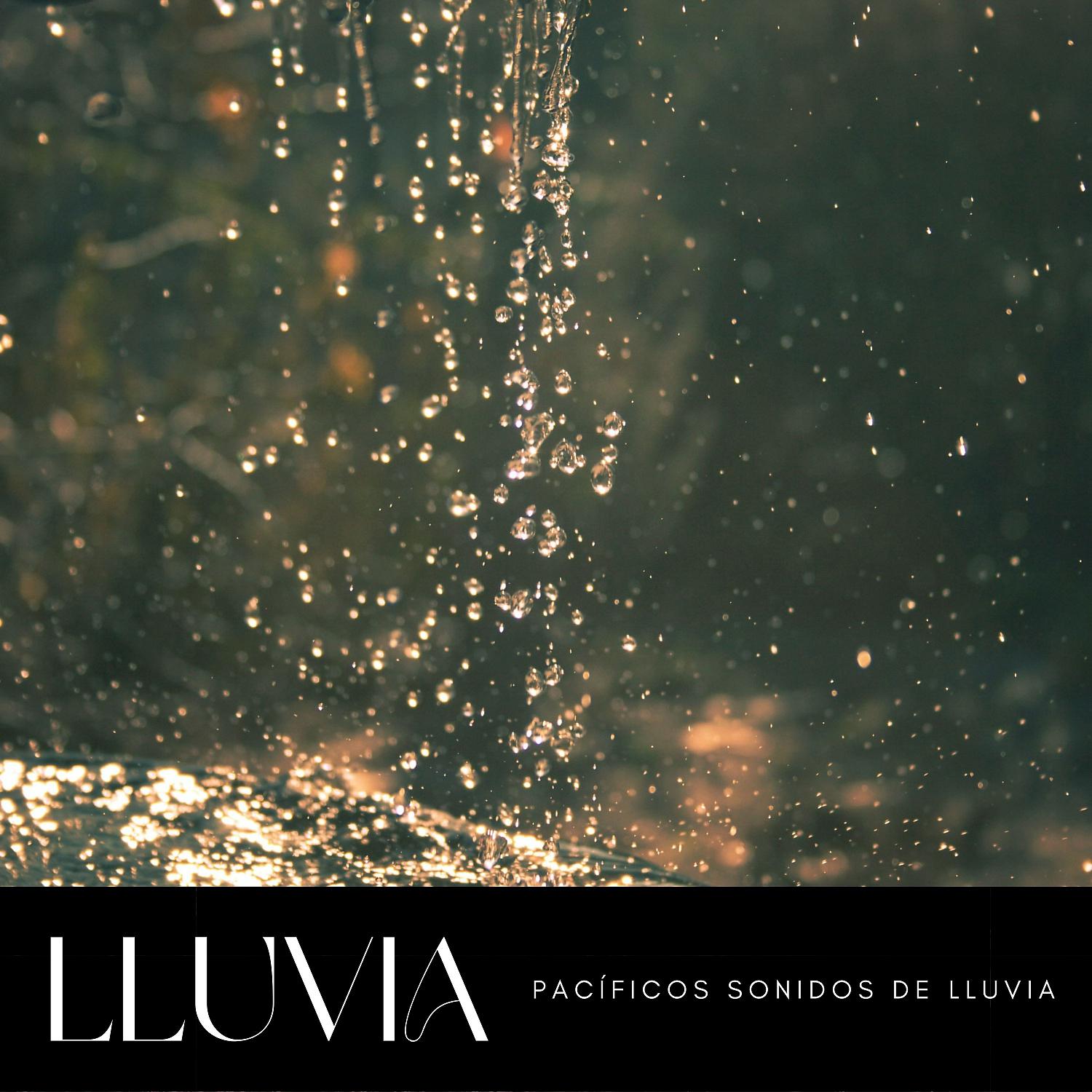 Постер альбома Lluvia: Pacíficos Sonidos De Lluvia