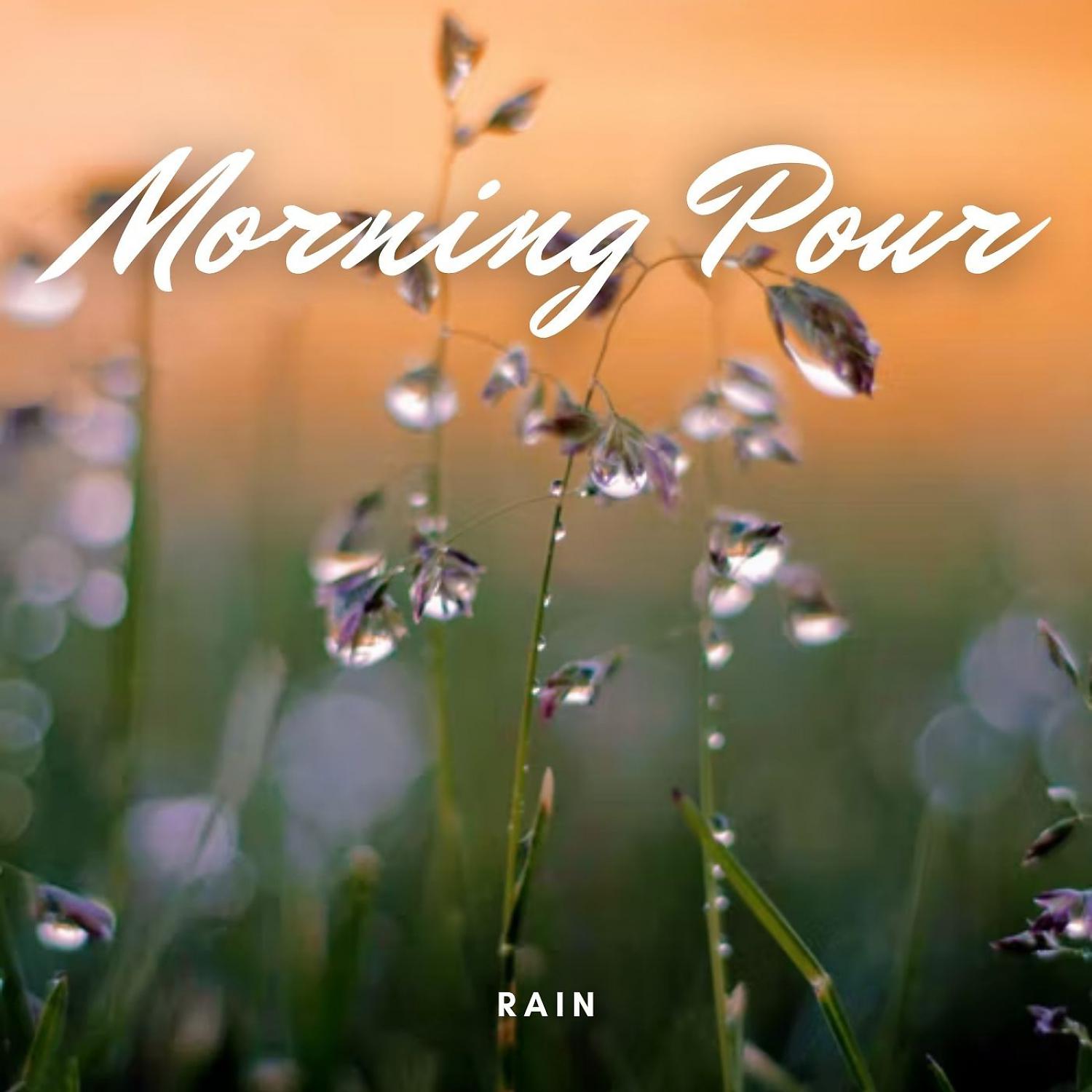 Постер альбома Rain: Morning Pour