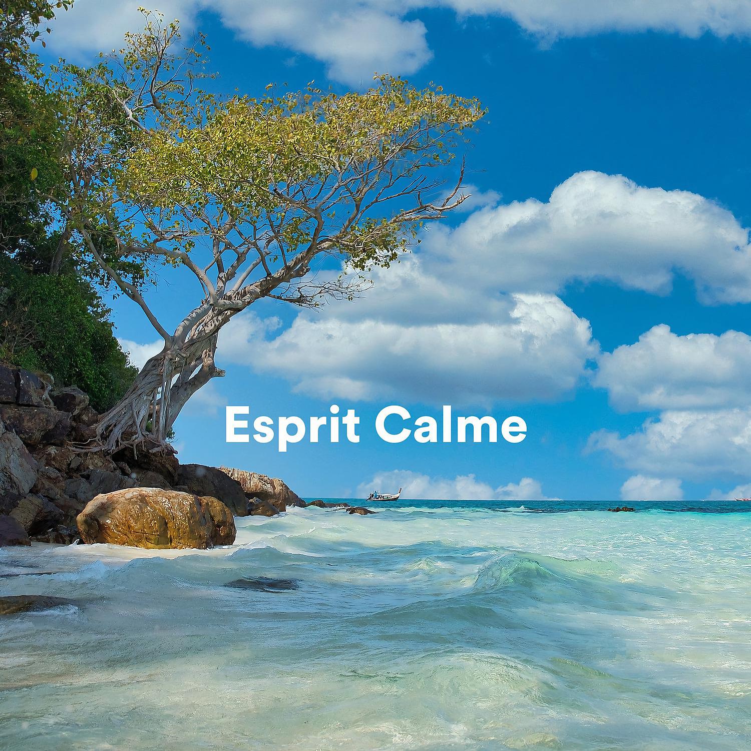 Постер альбома Esprit calme