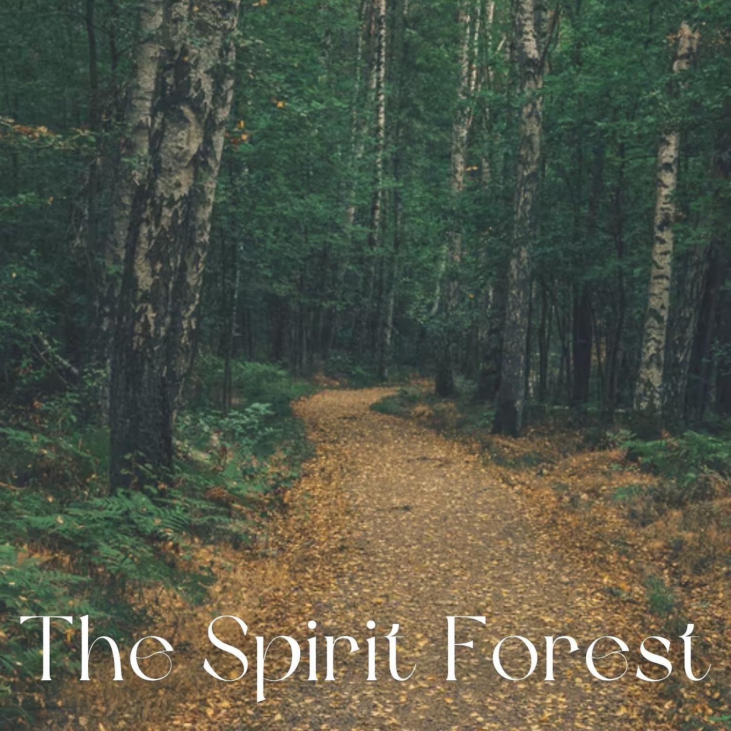 Постер альбома The Spirit Forest - 1 Hour