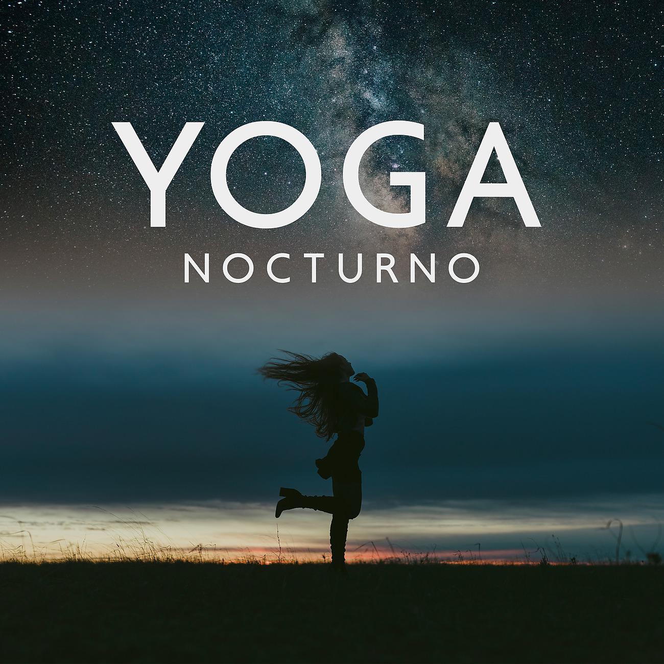 Постер альбома Yoga Nocturno