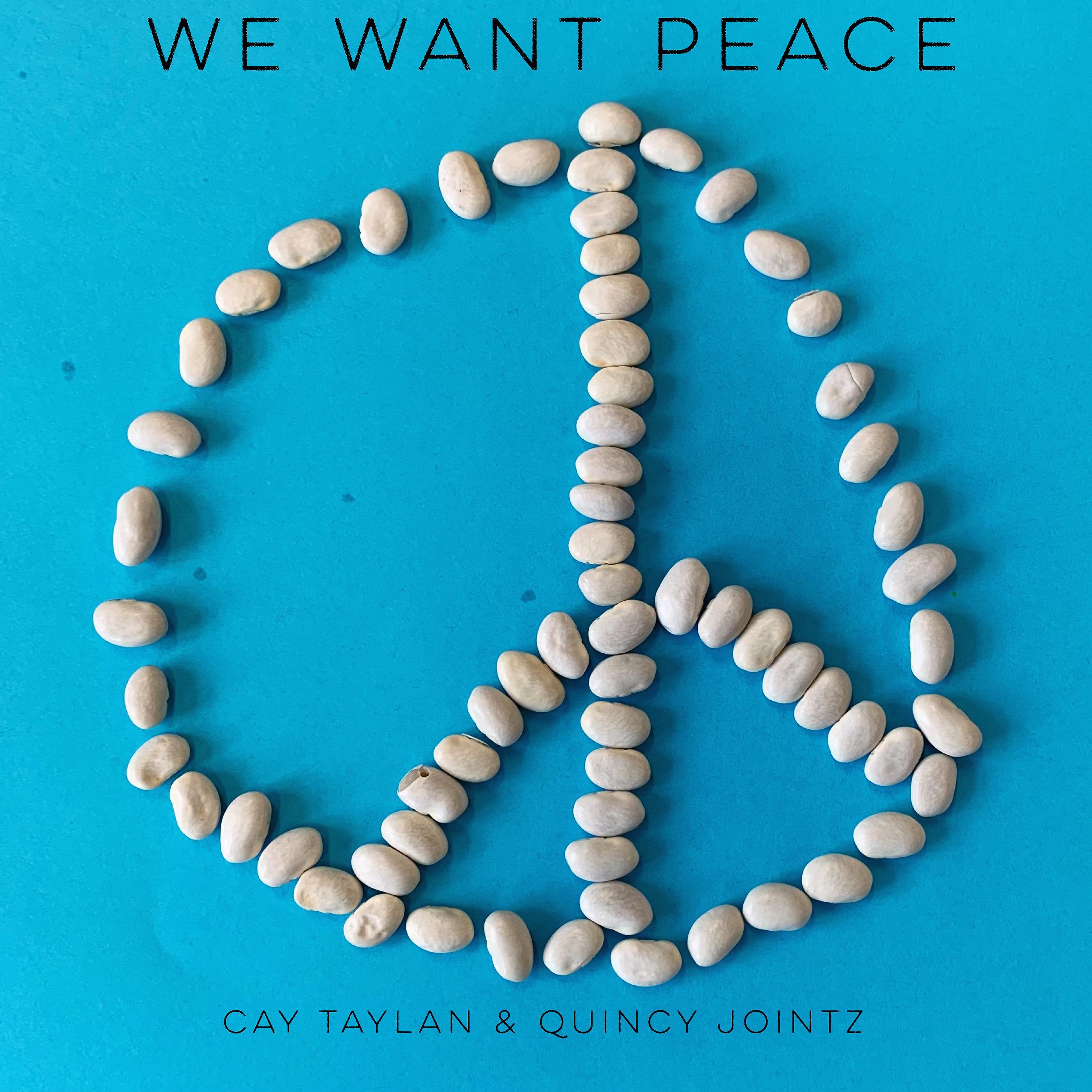 Постер альбома We Want Peace