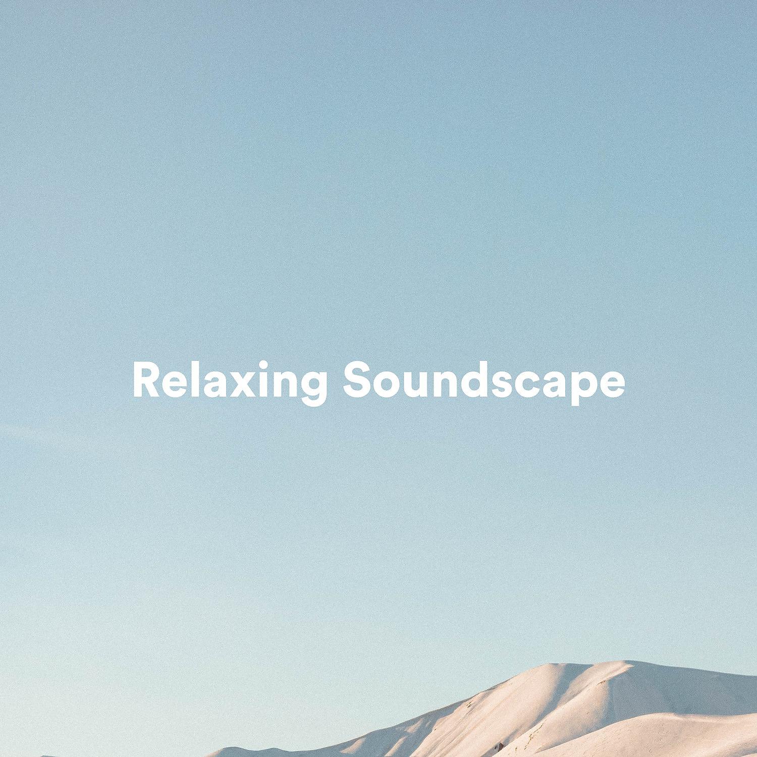 Постер альбома Relaxing Soundscape