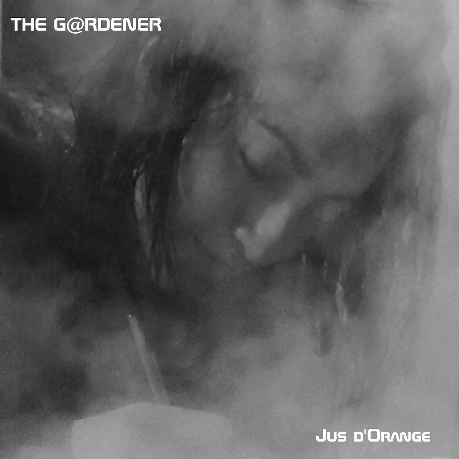 THE G@RDENER - Jus d'orange