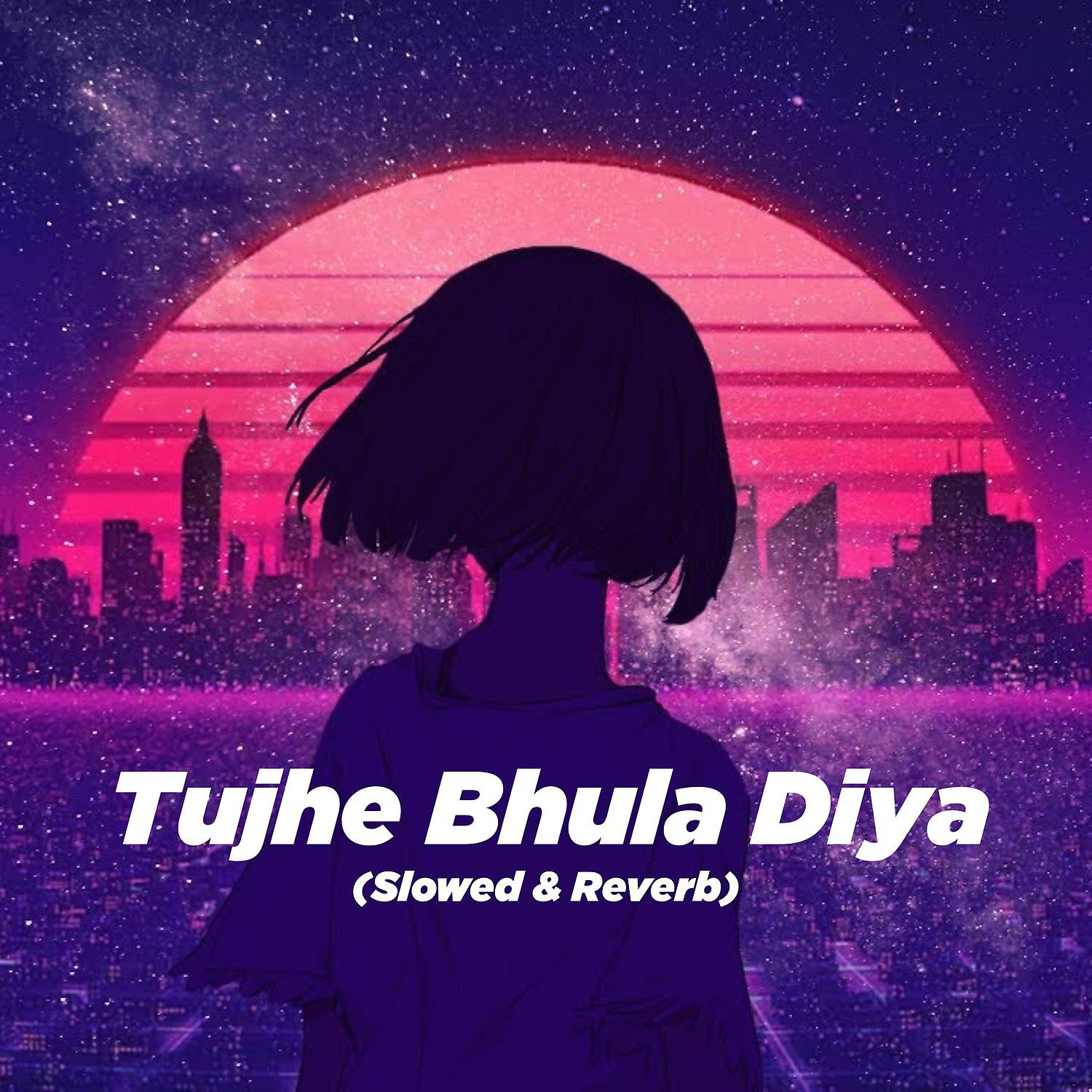 Постер альбома Tujhe Bhula Diya
