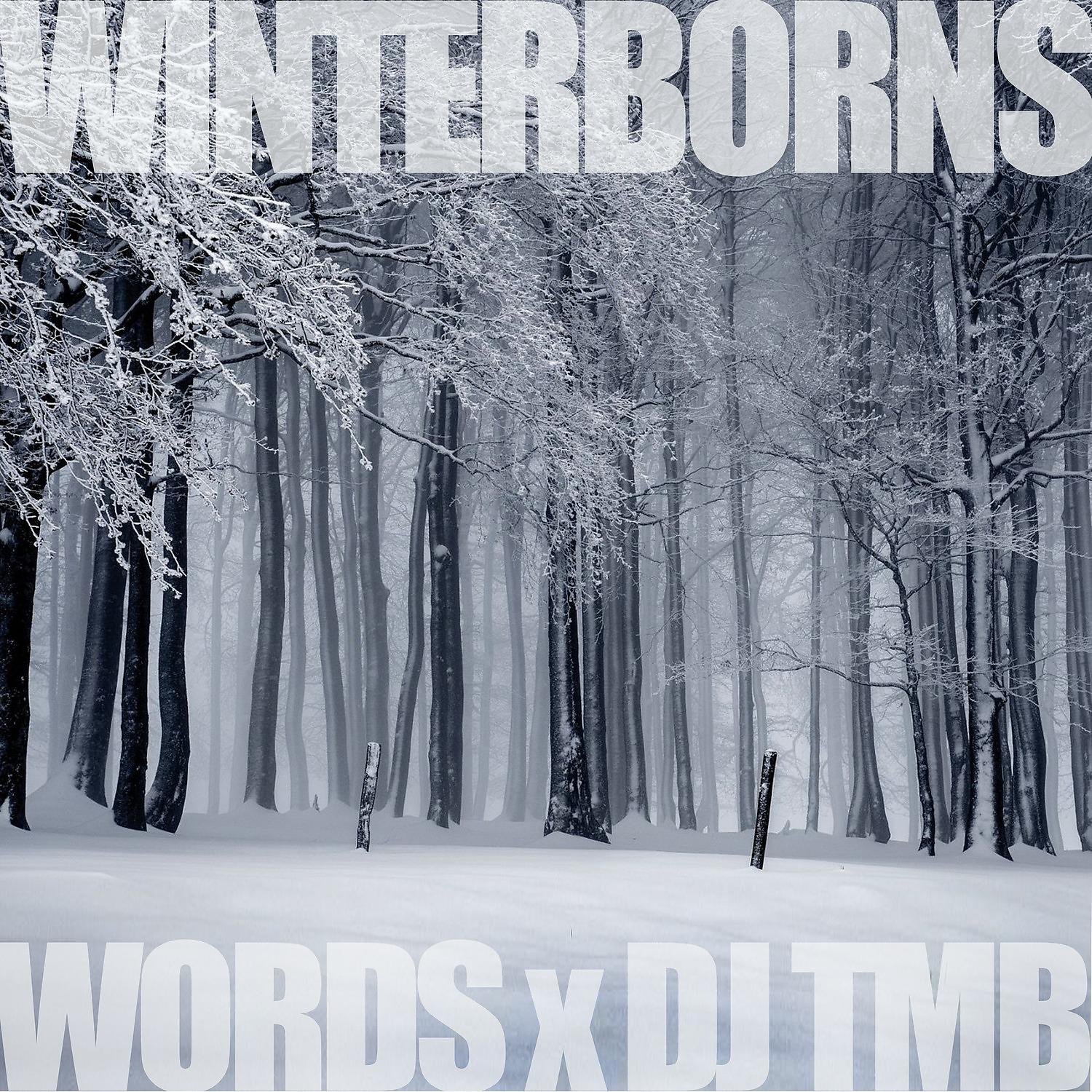 Постер альбома The Winterborns