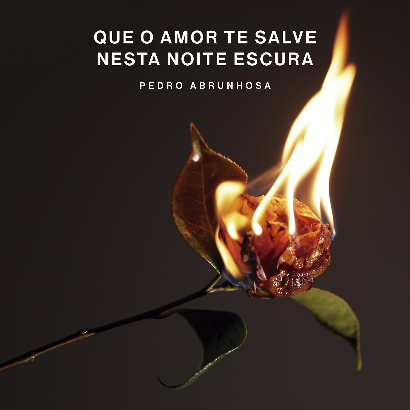 Постер альбома Que O Amor Te Salve Nesta Noite Escura