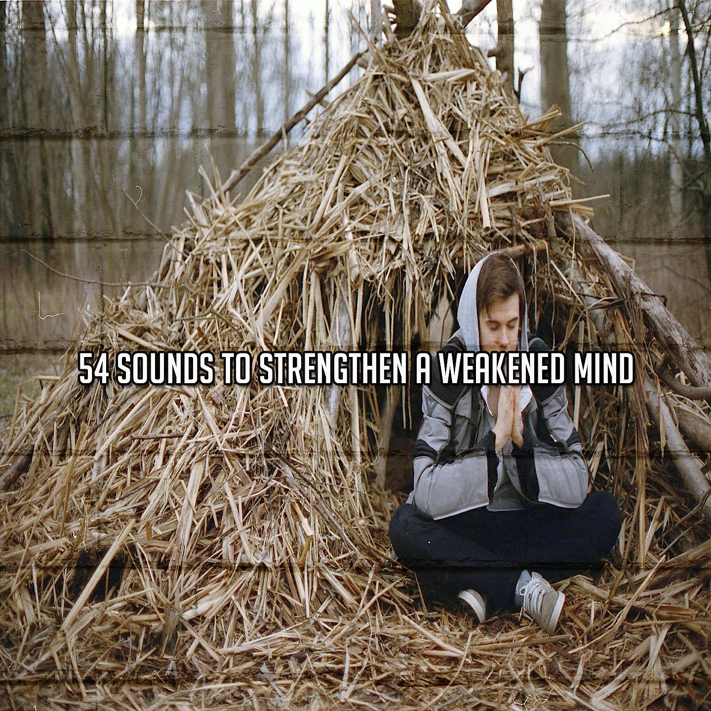 Постер альбома 54 звука для укрепления ослабленного ума