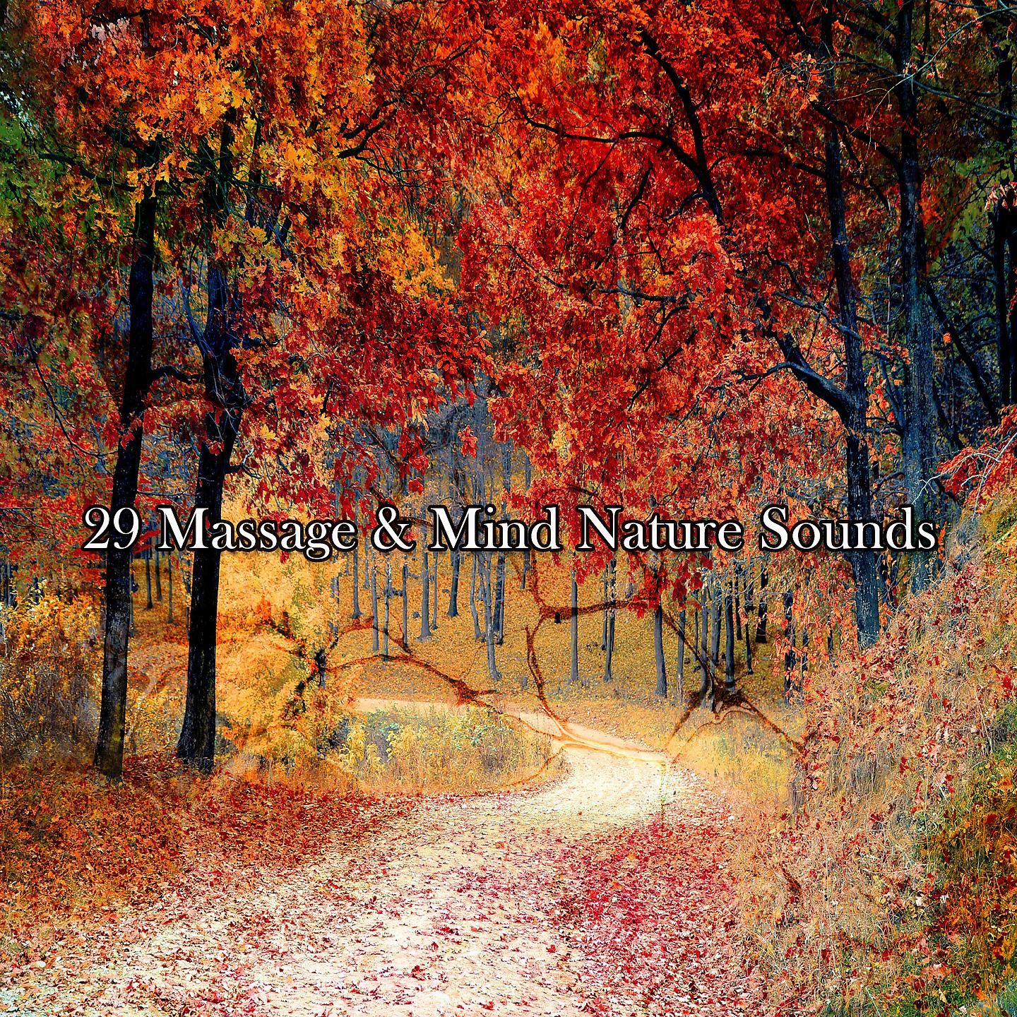 Постер альбома 29 массажей и звуков природы