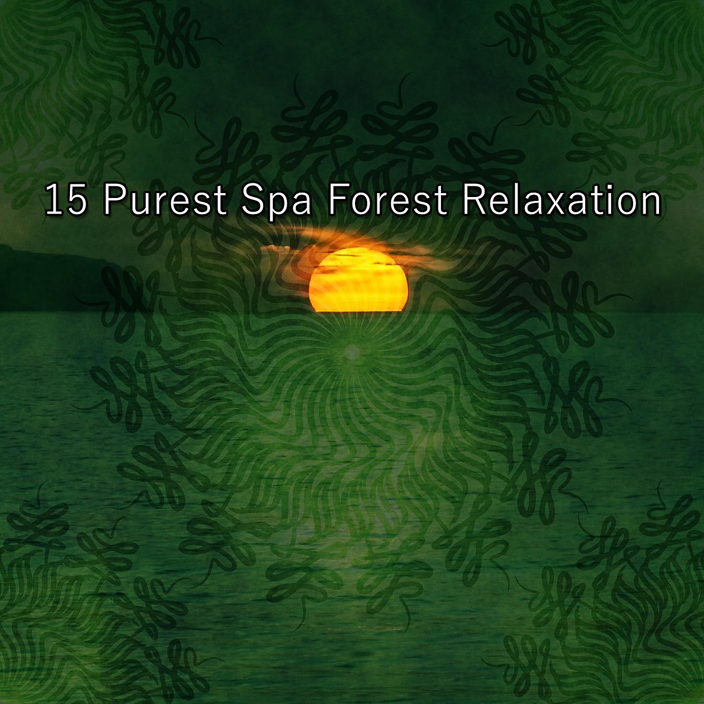 Постер альбома 15 чистейших спа-лесен в лесу