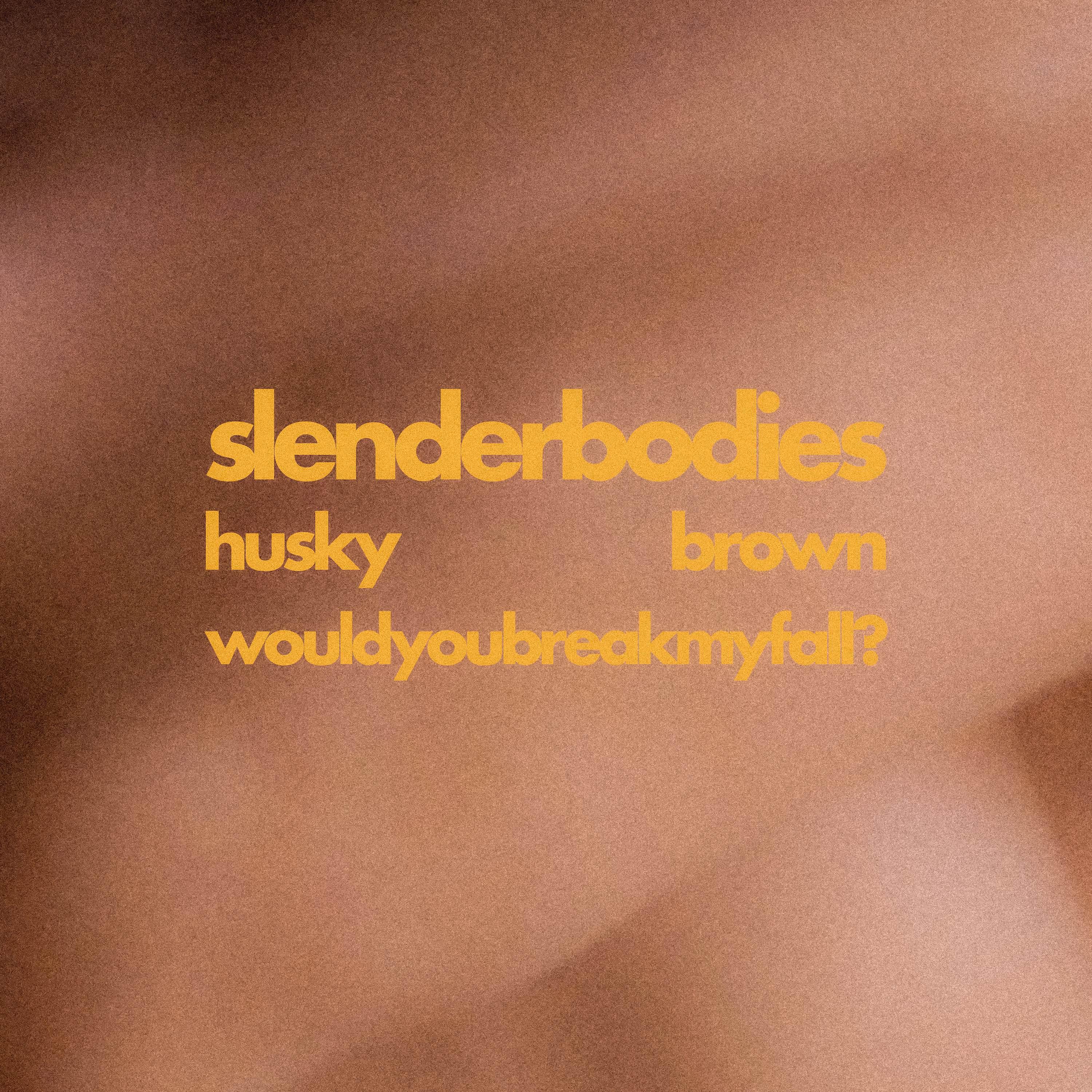 Постер альбома husky brown / would you break my fall?