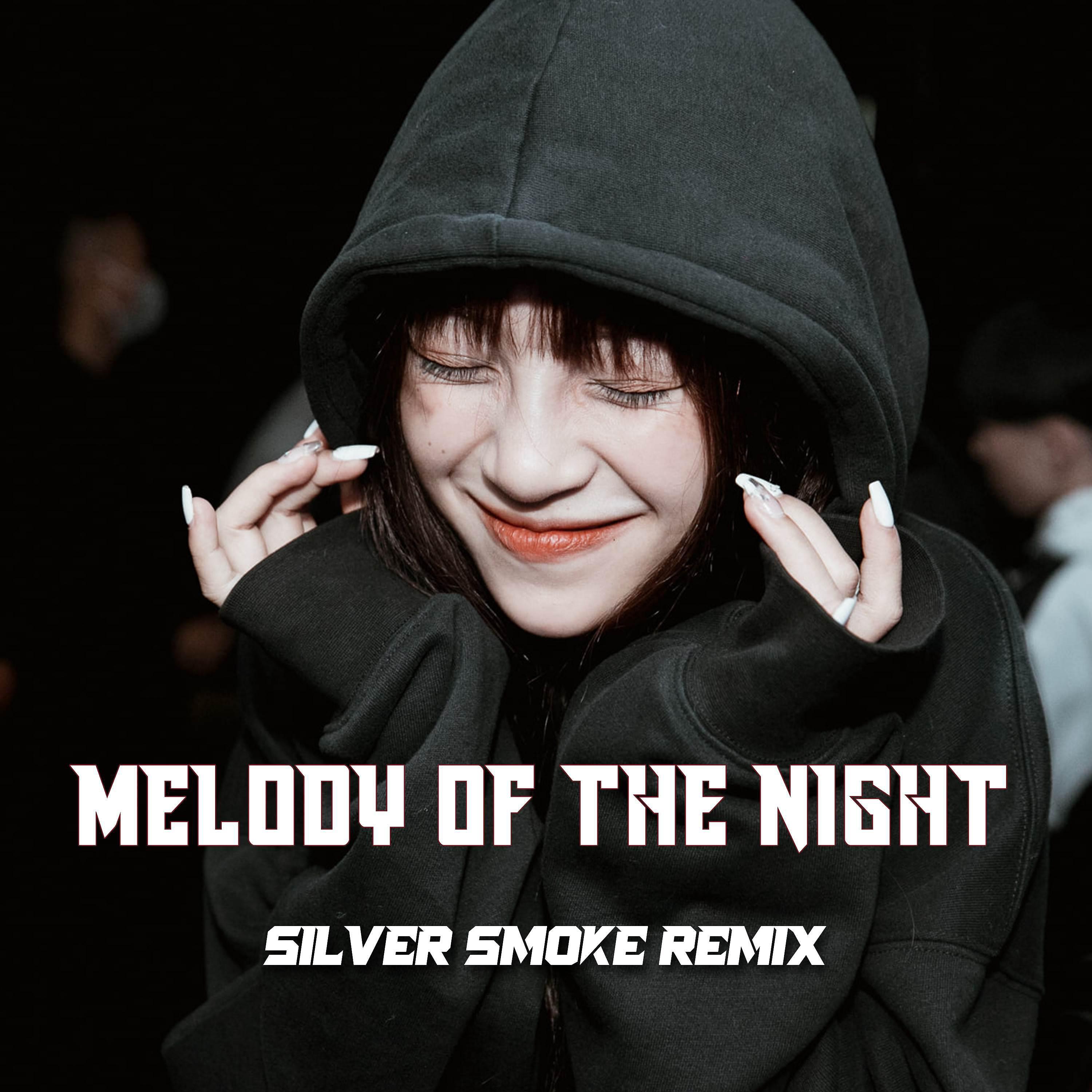 Постер альбома Melody Of The Night