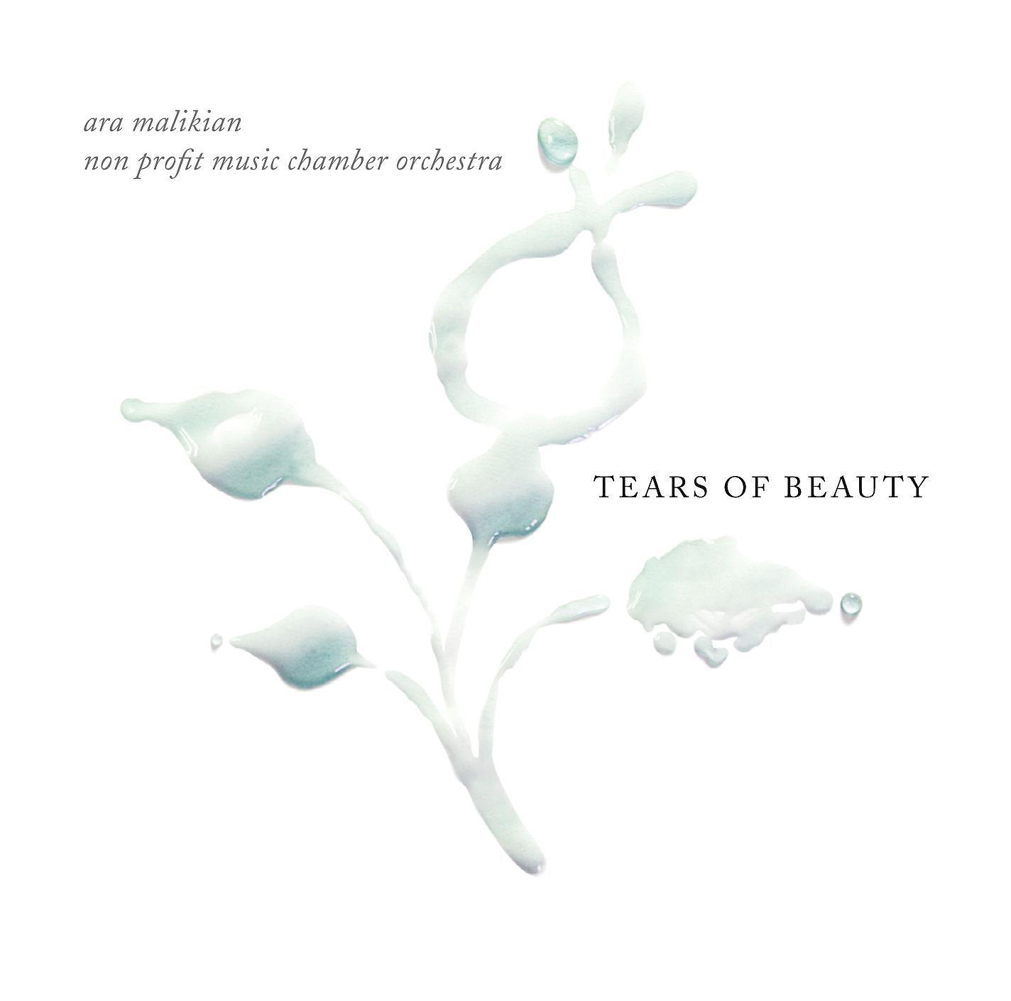 Постер альбома Tears of beauty
