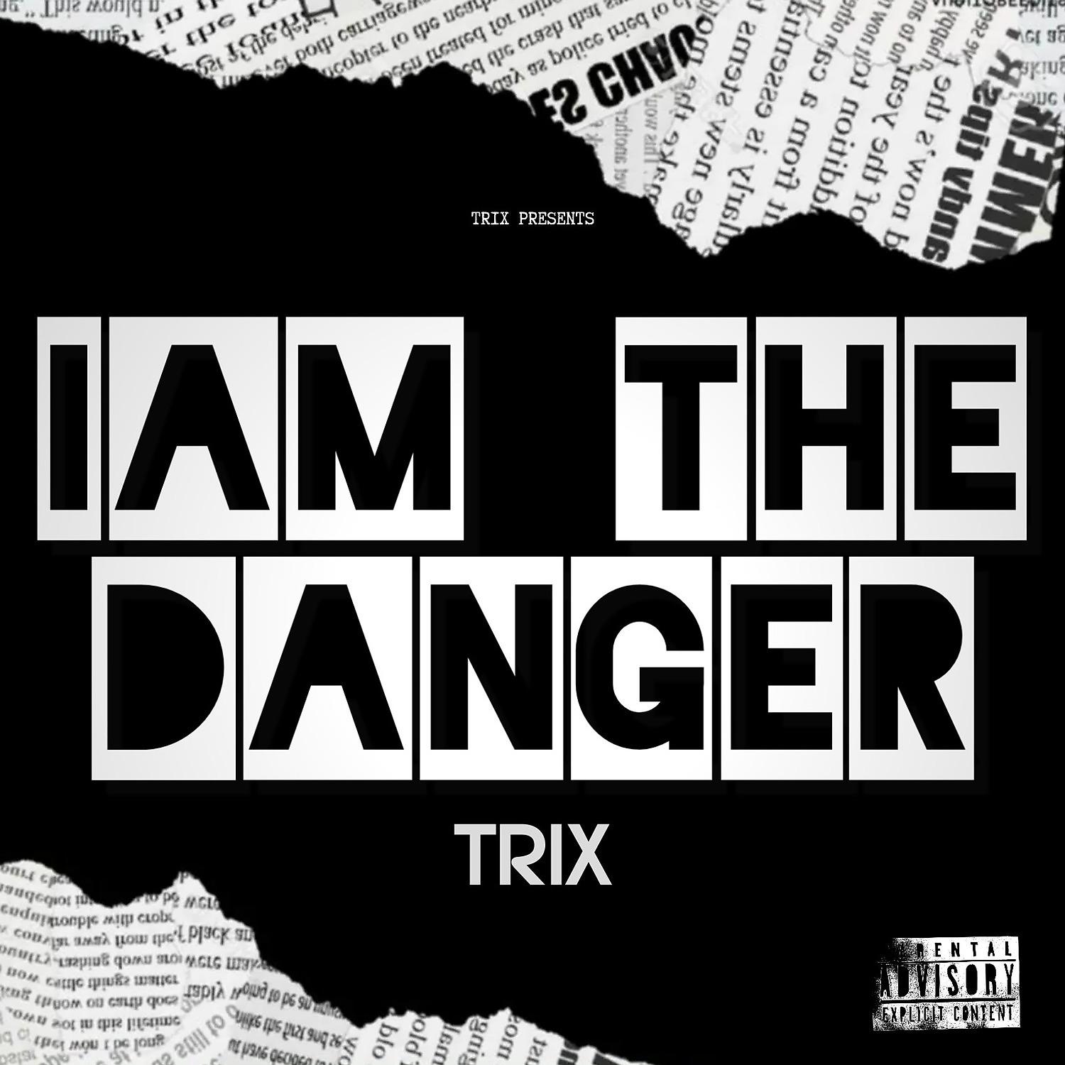 Постер альбома I AM THE DANGER