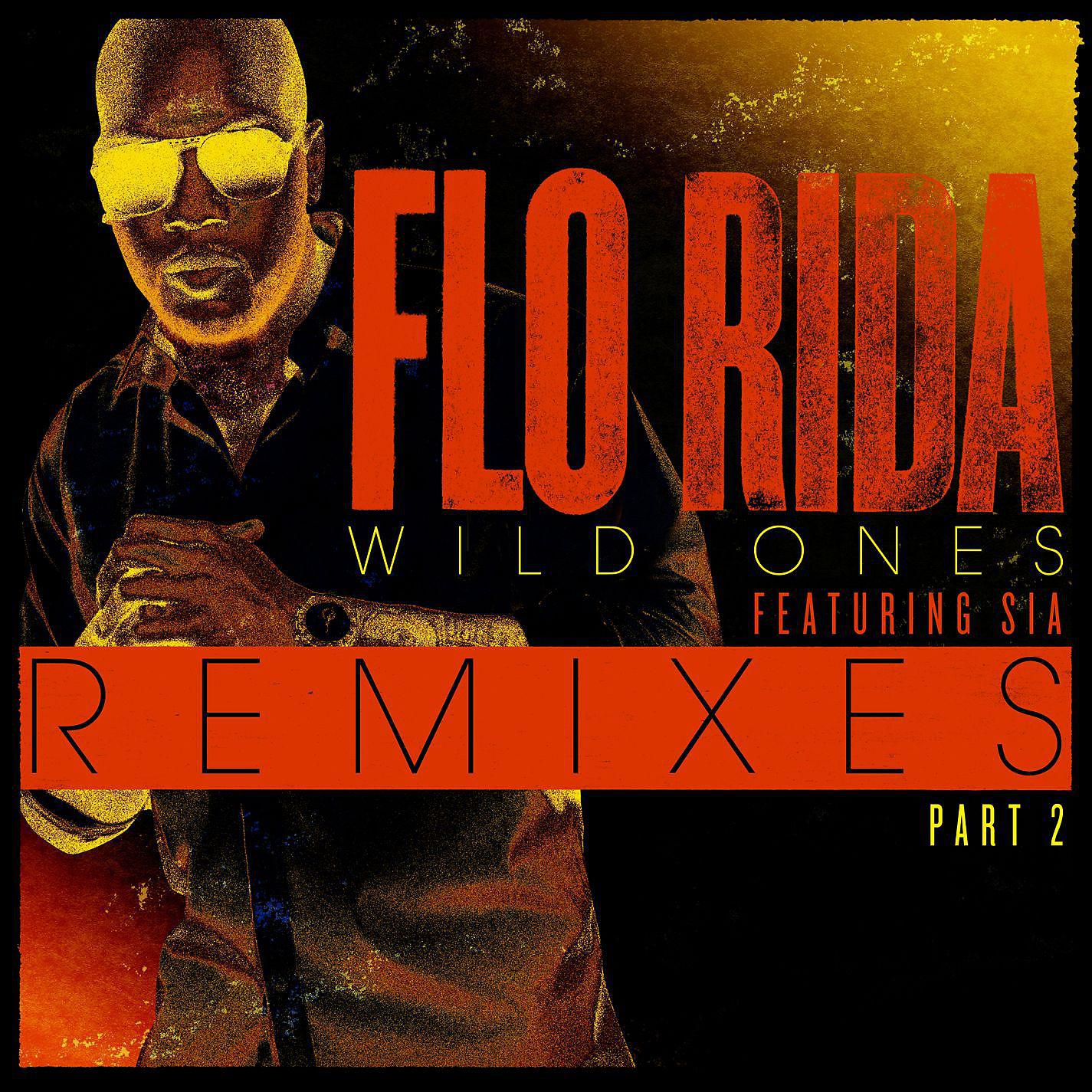 Постер альбома Wild Ones (feat. Sia) [Remixes Pt. 2]