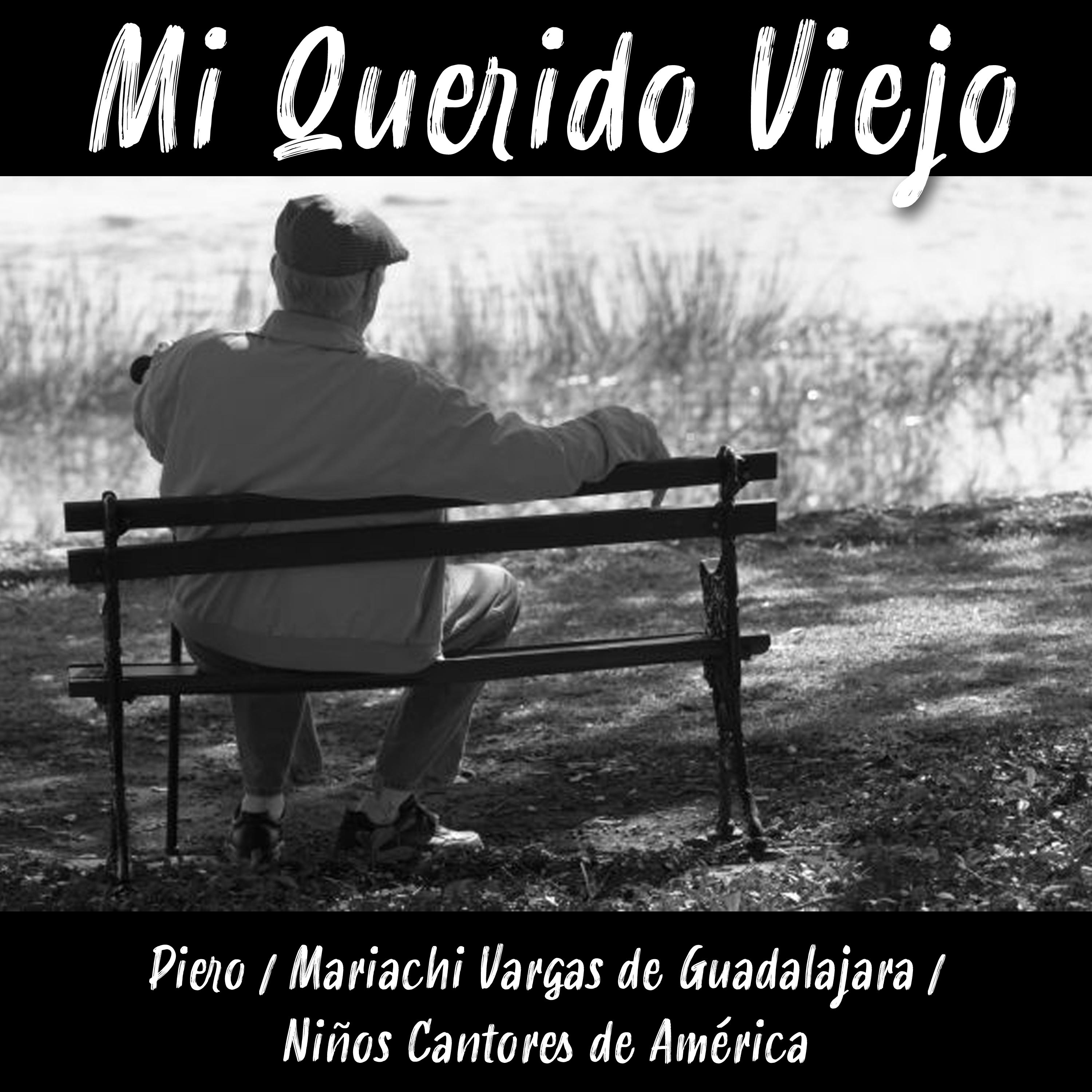 Постер альбома Mi Querido Viejo