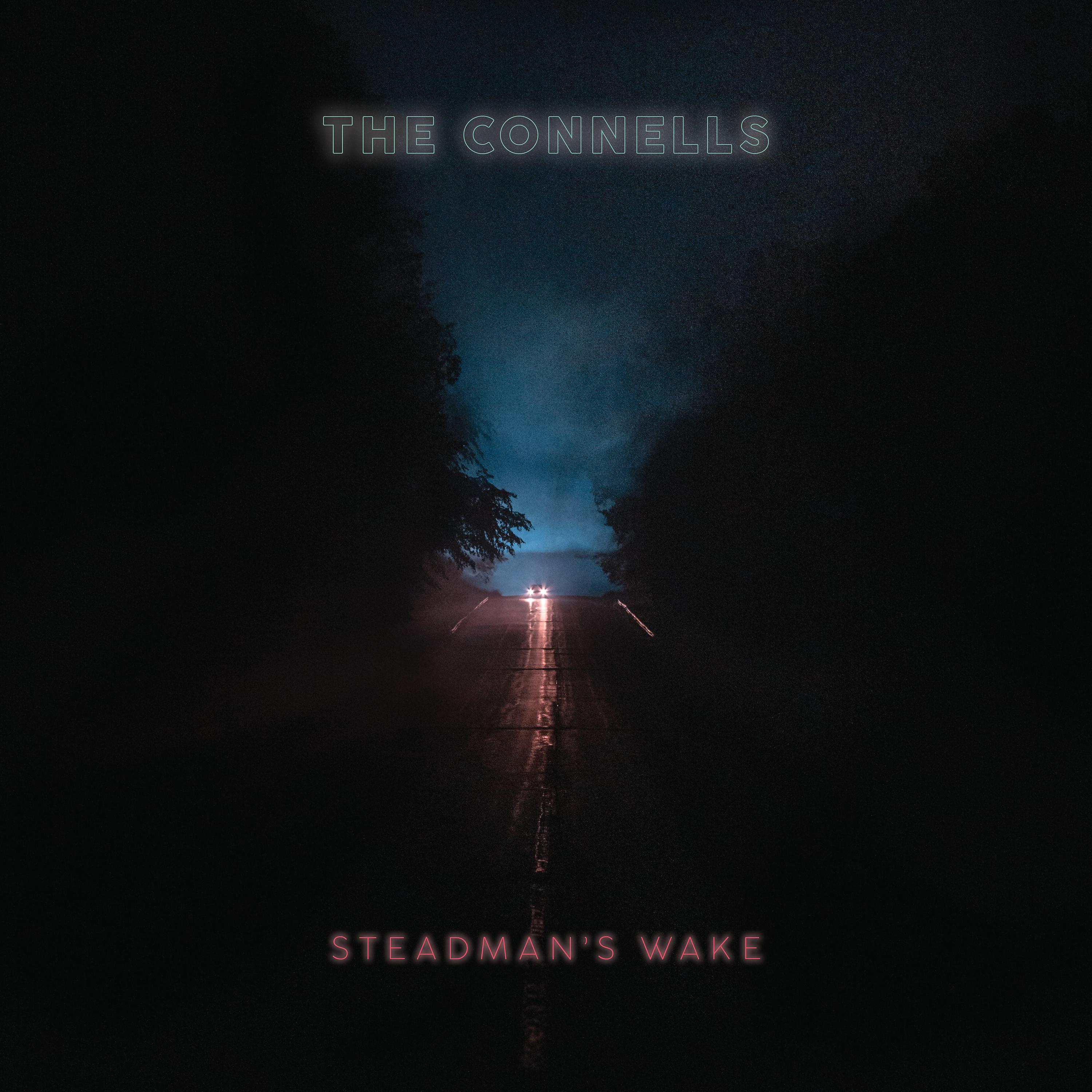 Постер альбома Steadman's Wake
