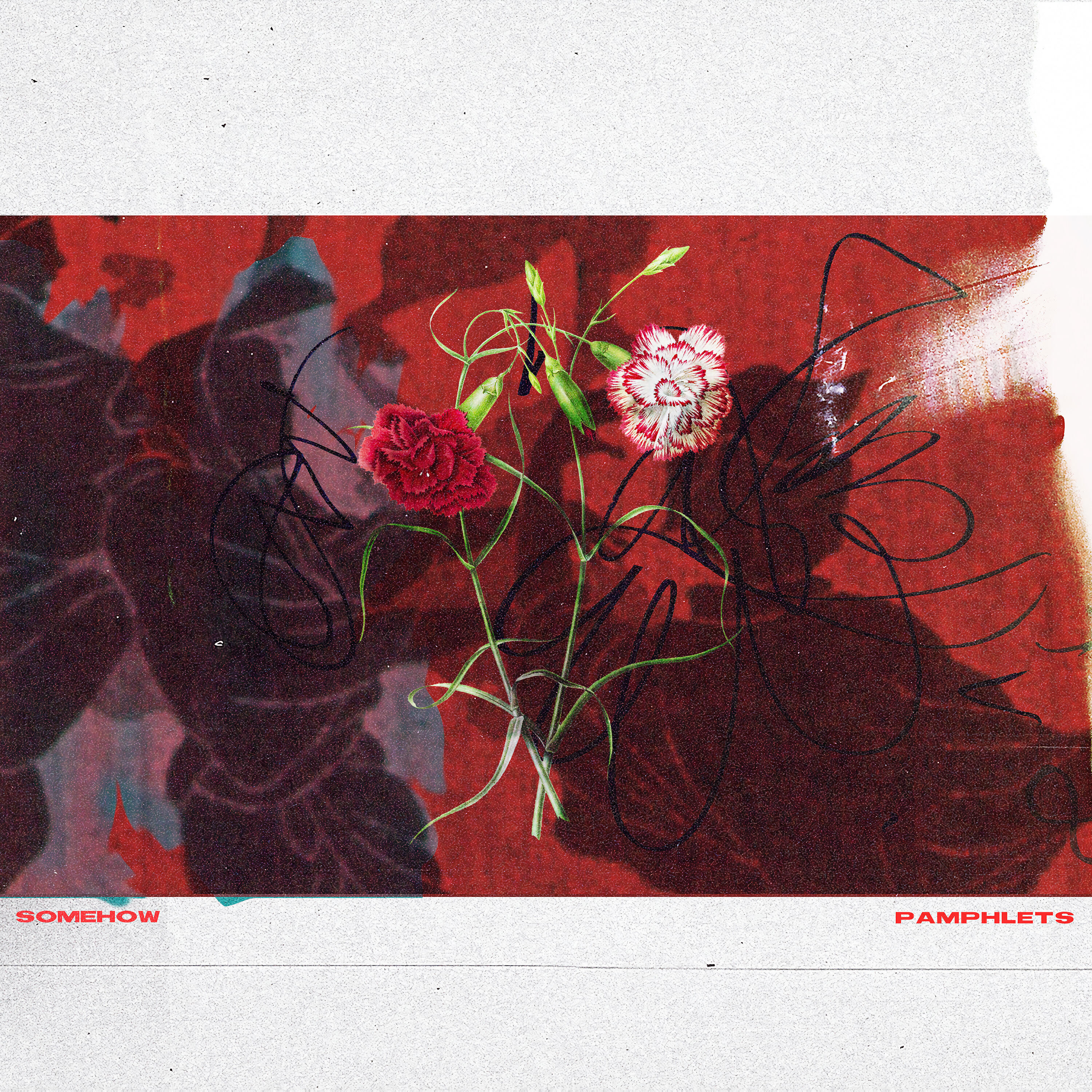 Pamphlets - Somehow