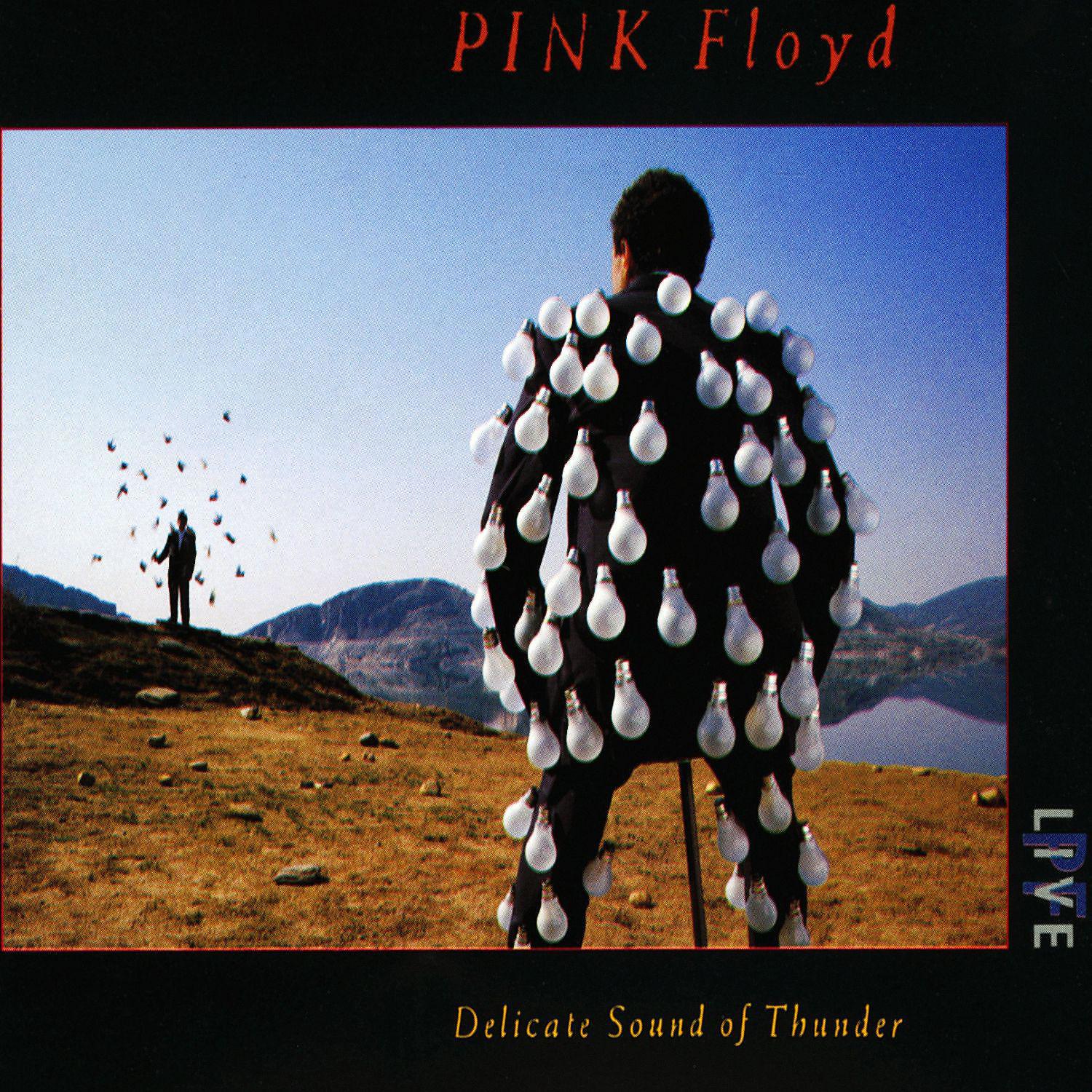 Pink Floyd - Shine On You Crazy Diamond (Live)