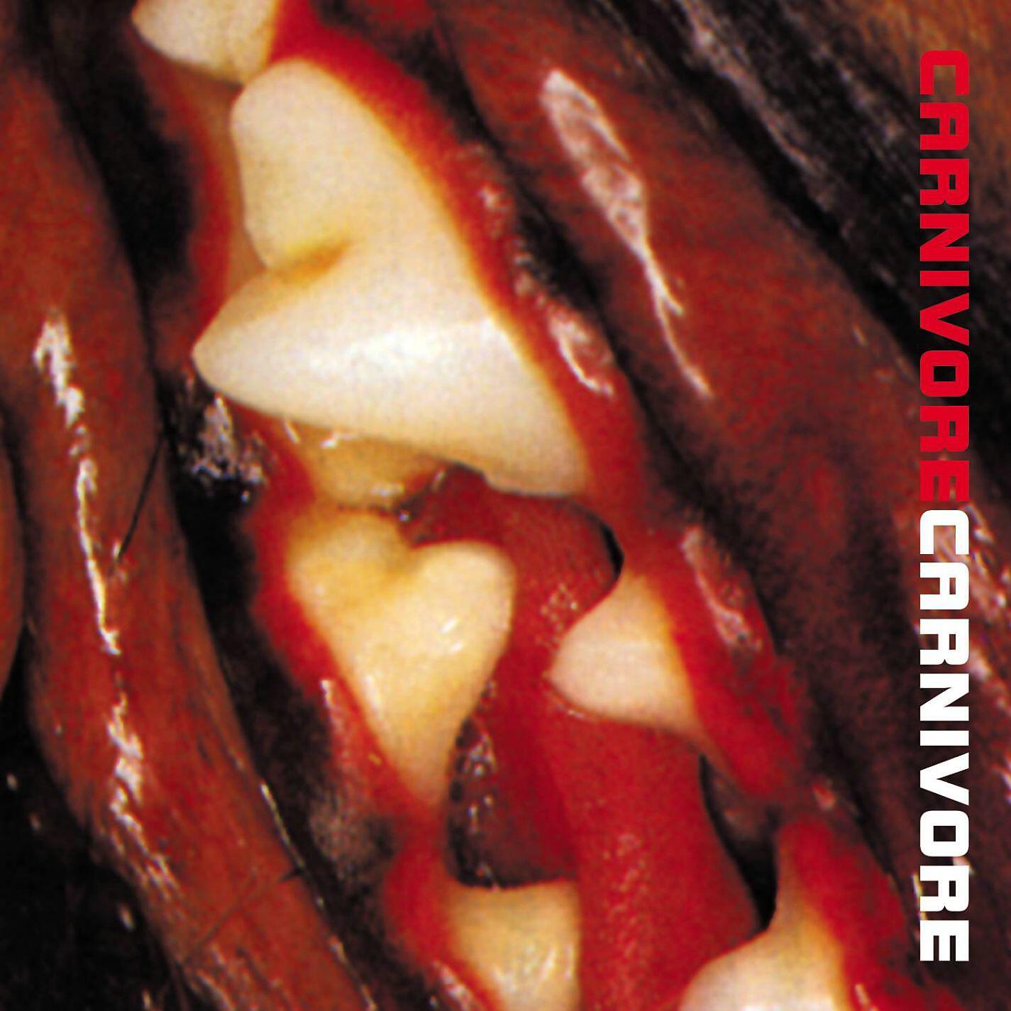 Carnivore - Predator