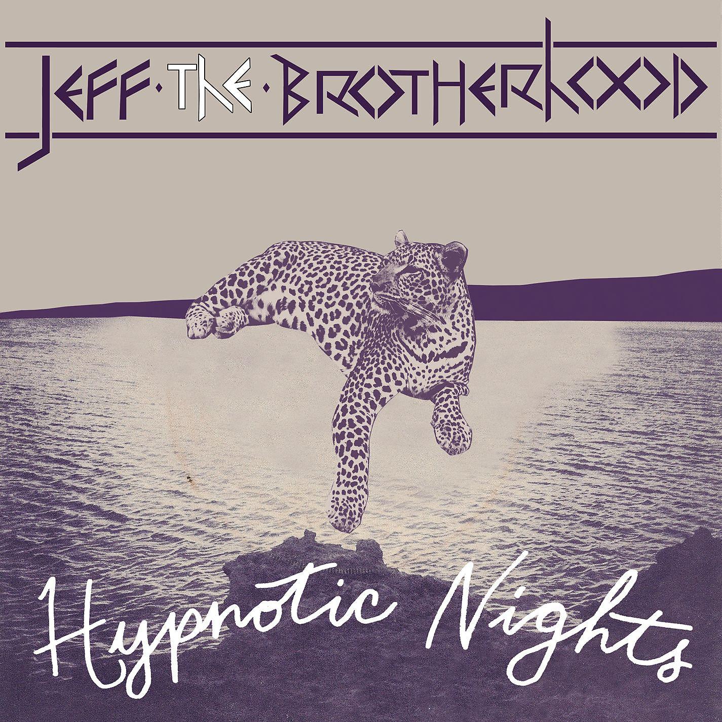 Постер альбома Hypnotic Nights