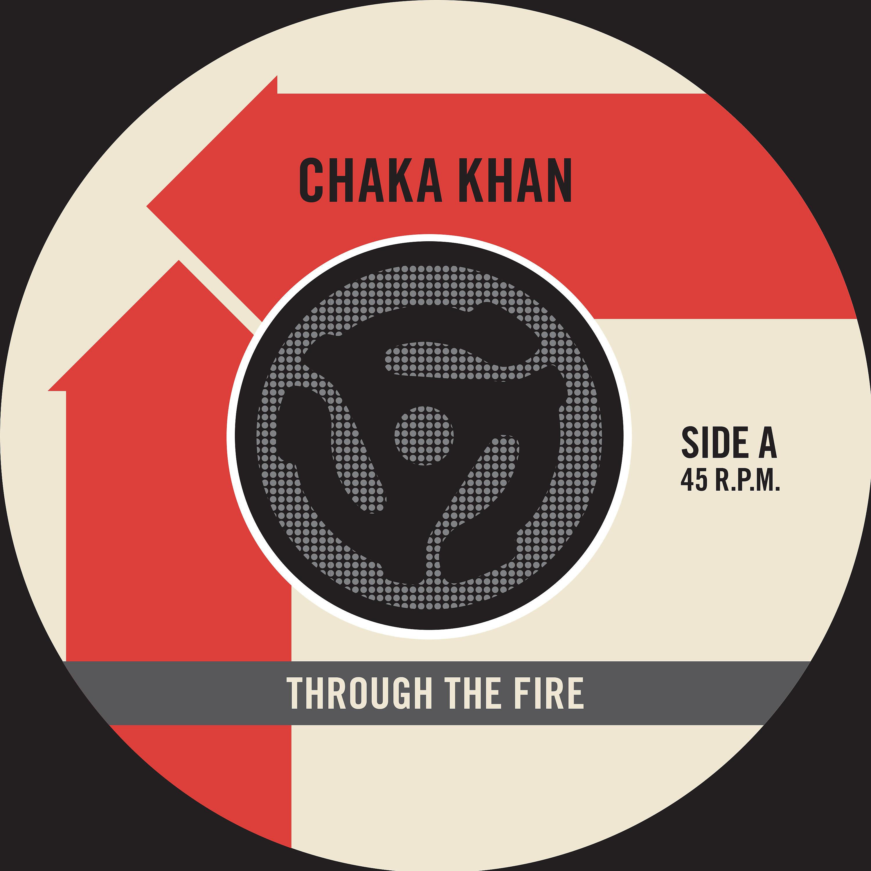 Постер альбома Through the Fire (45 Version) / La Flamme