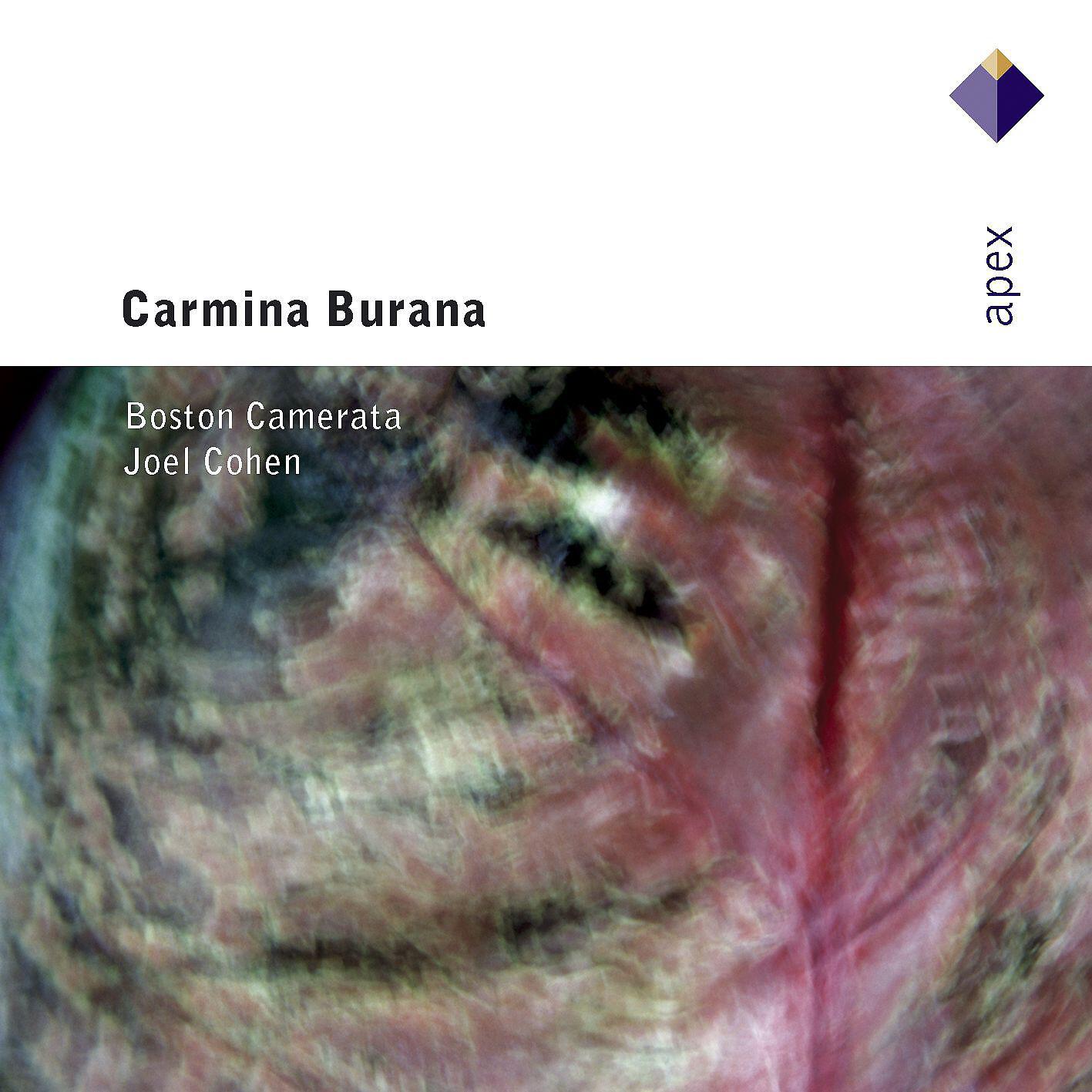 Joel Cohen - Anon / Arr Cohen : Carmina Burana [c1230] : 