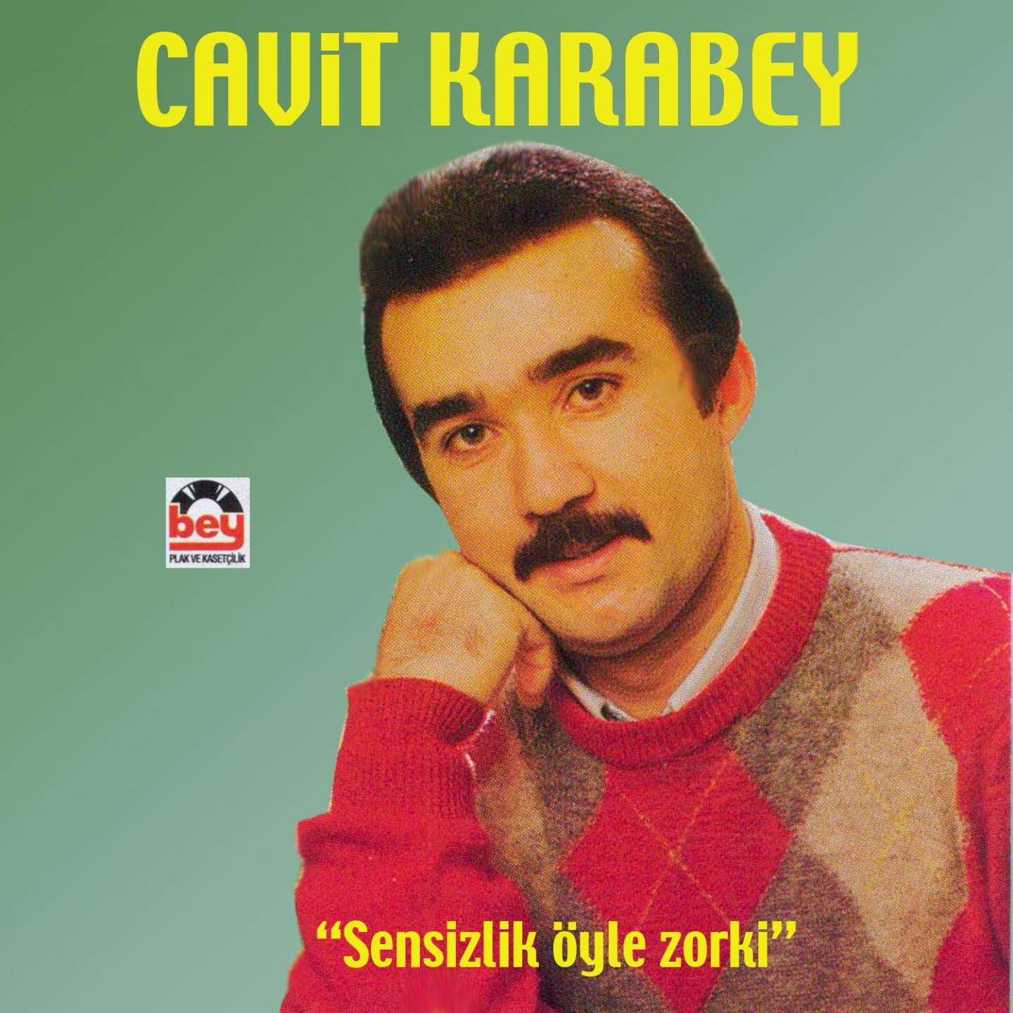 Постер альбома Sensizlik Öyle Zor Ki