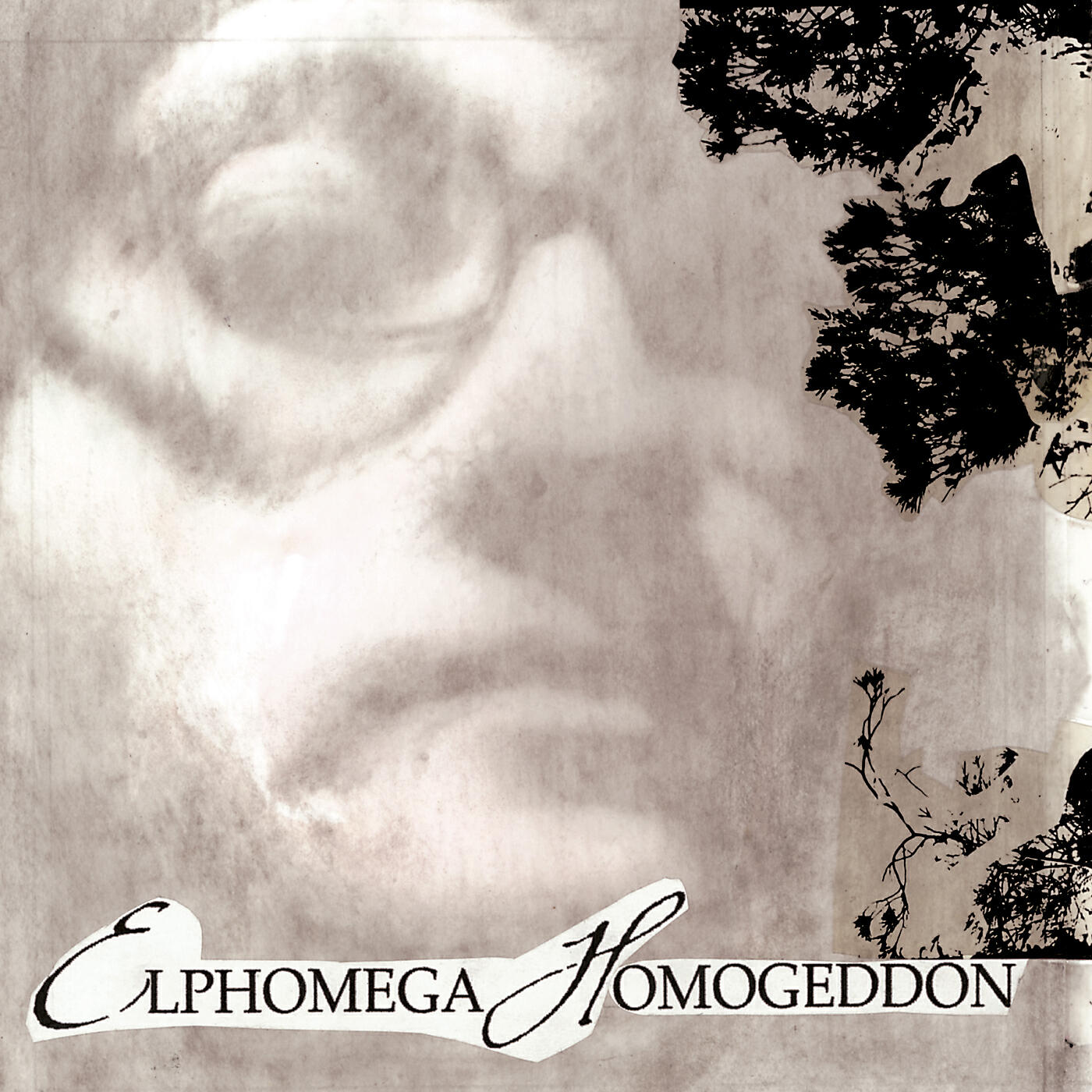 Elphomega - Juncos huecos