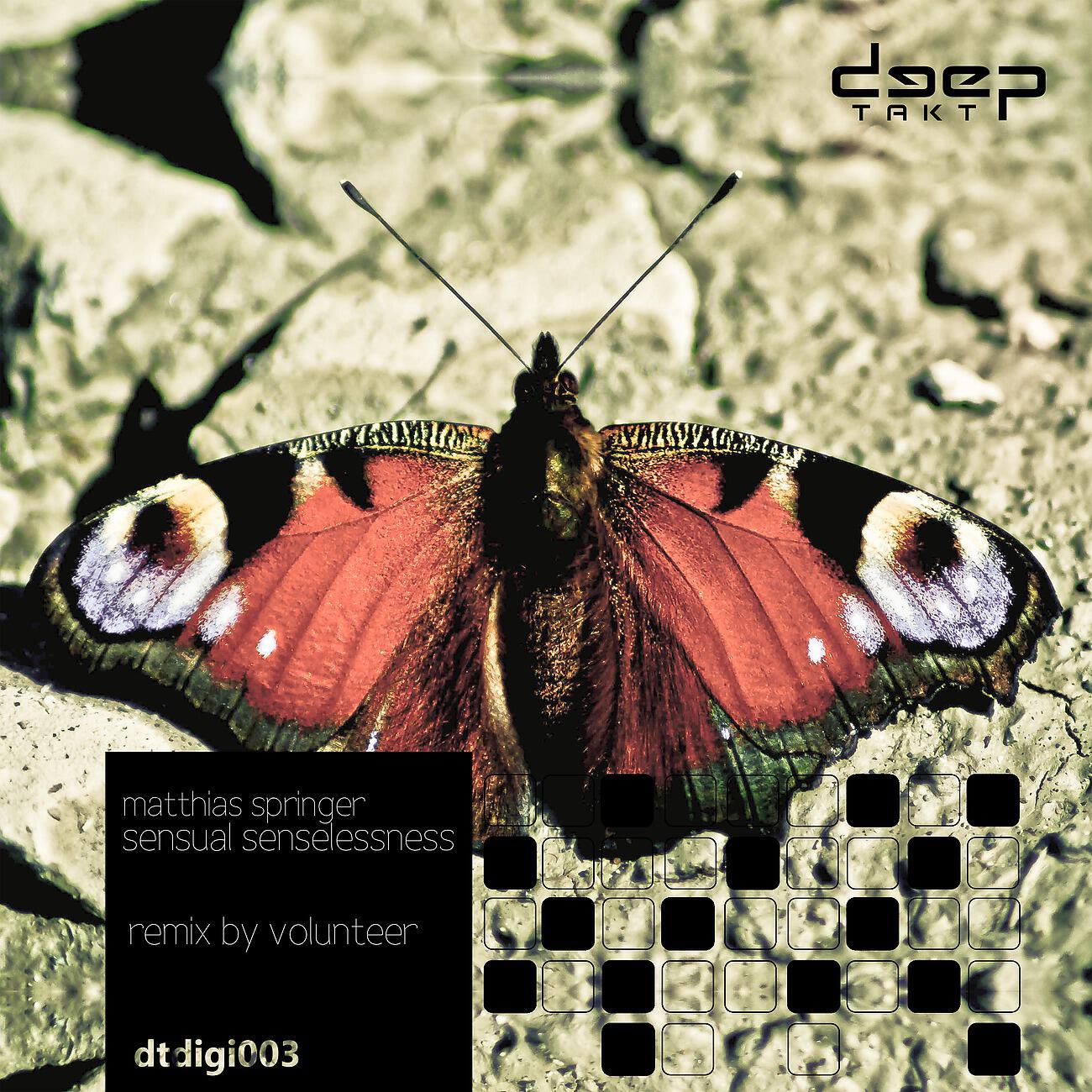 Matthias Springer - 2222 Thoughts (Volunteer Remix)