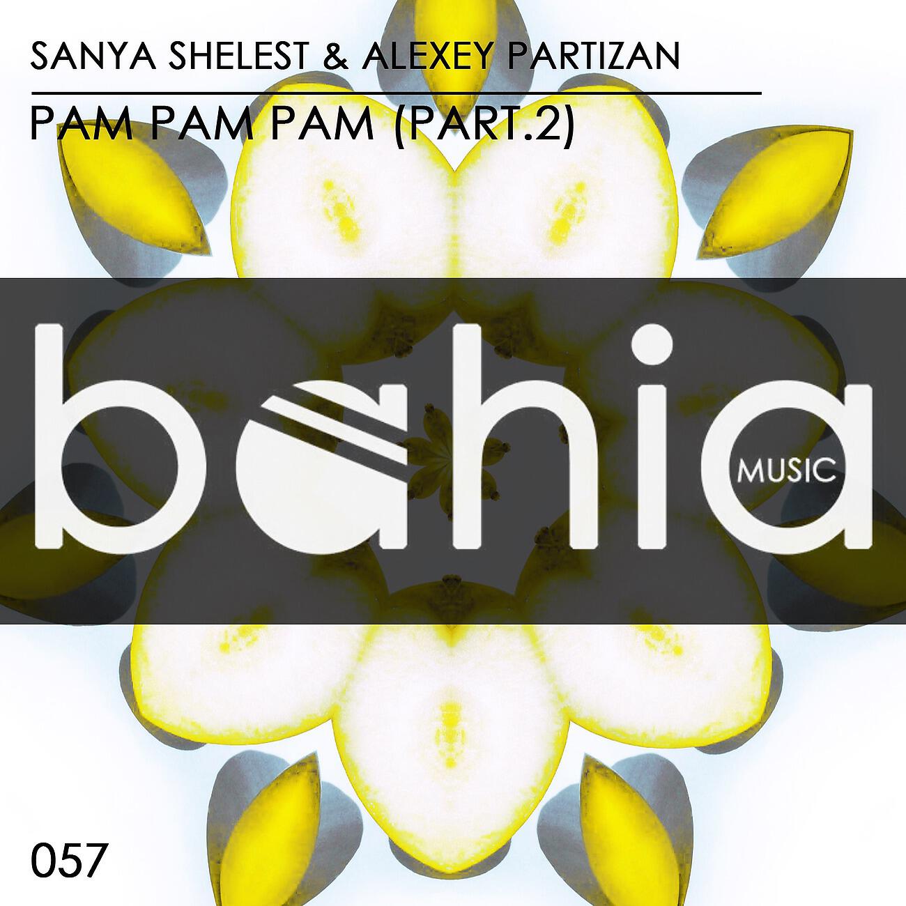 Sanya Shelest - Pam Pam Pam (Andrew Rai Remix)
