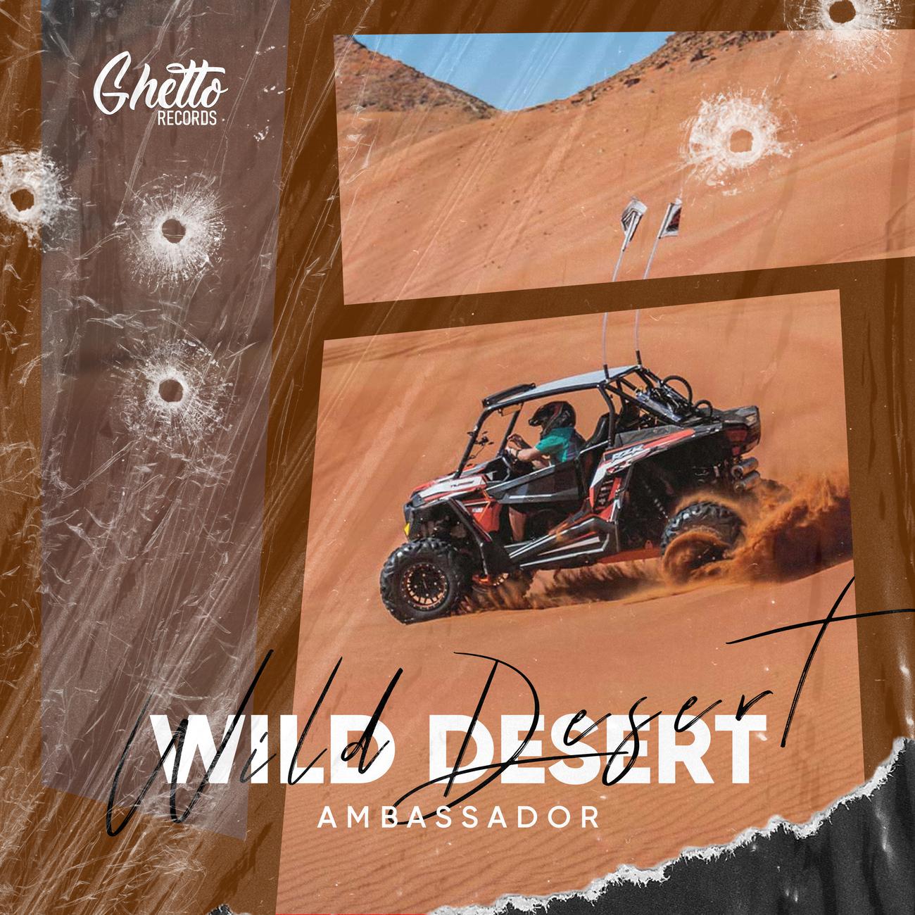 Постер альбома Wild Desert