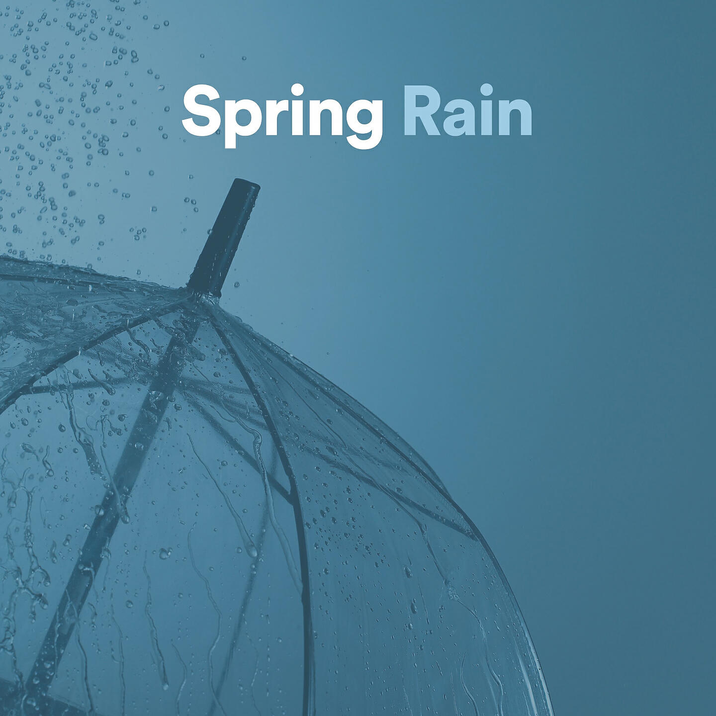 Rainfall - Manchester Rain