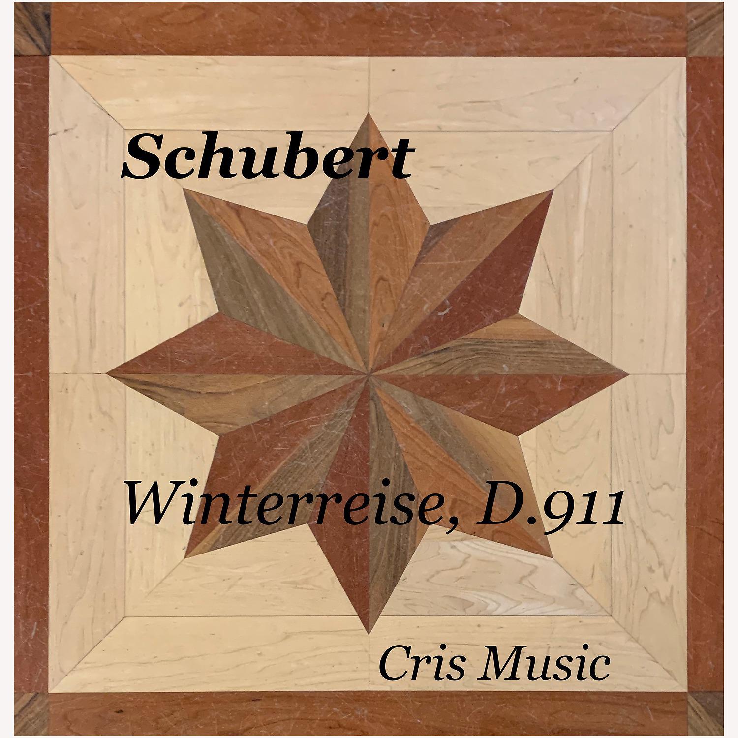 Постер альбома Schubert: Winterreise, D.911