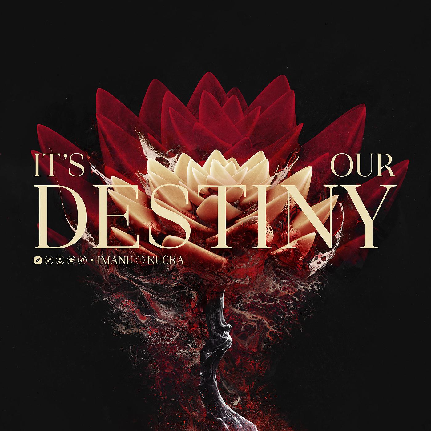 Постер альбома It's Our Destiny