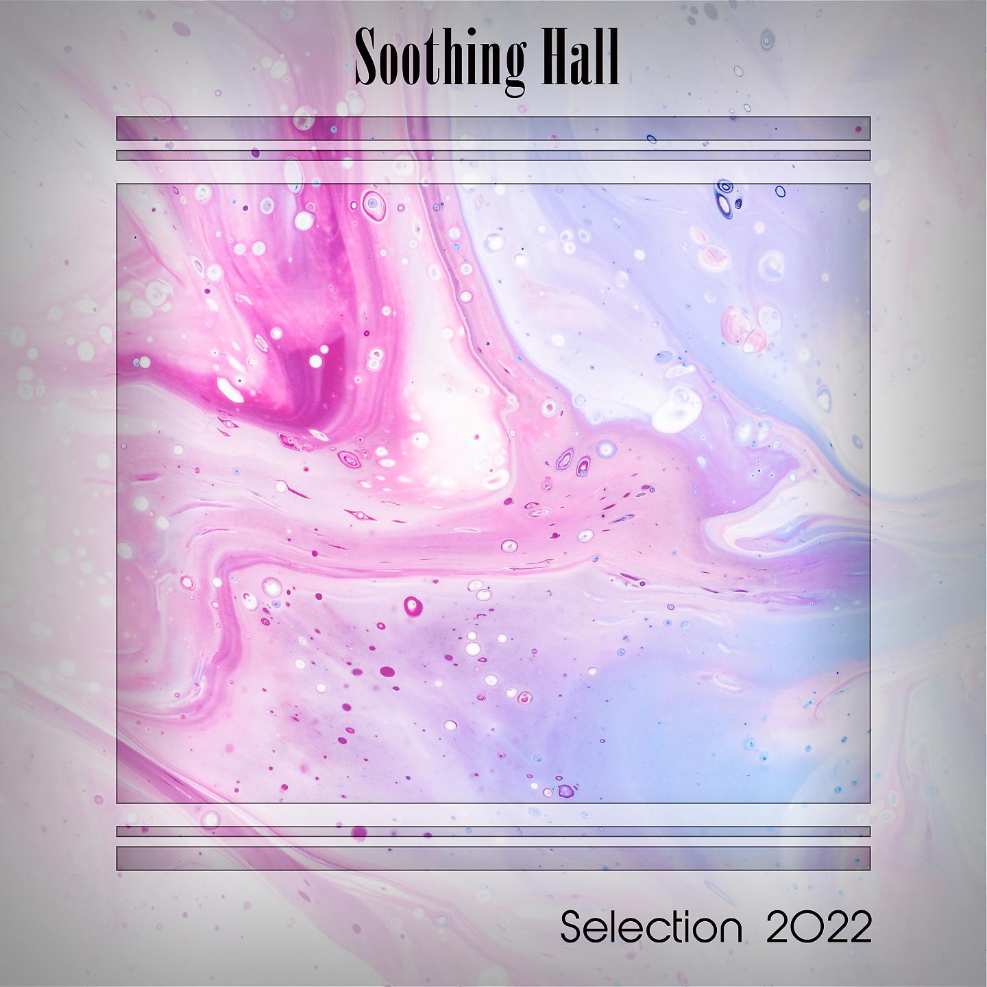 Постер альбома SOOTHING HALL SELECTION 2022