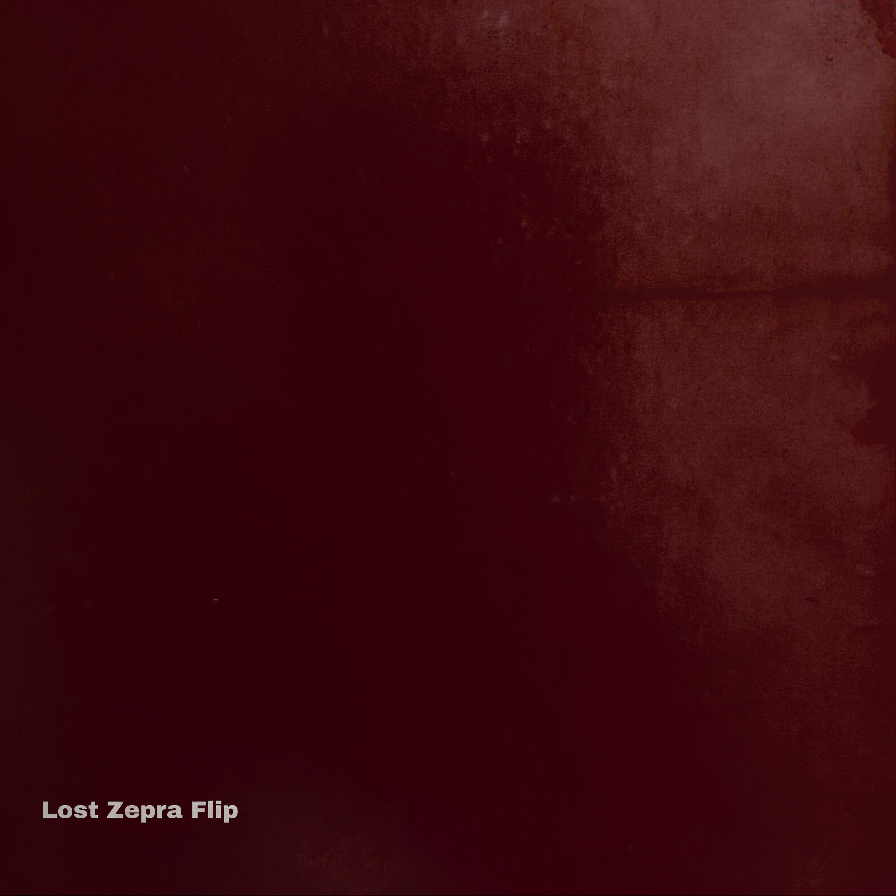 Постер альбома Lost Zepra Flip